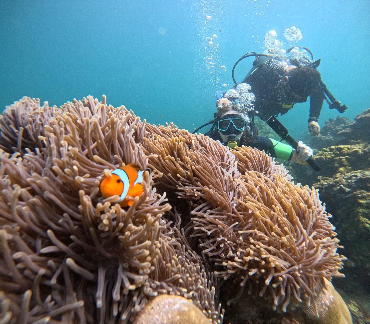 Phuket: Racha & Maiton Islands Scuba Diving for All Levels