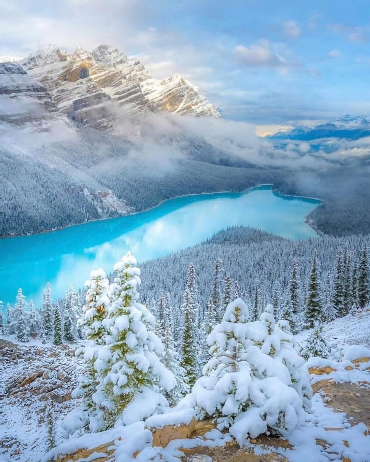 Icefields Parkway tour from Calgary — Columbia Icefield, Peyto Lake and Glacier Skywalk — image 12