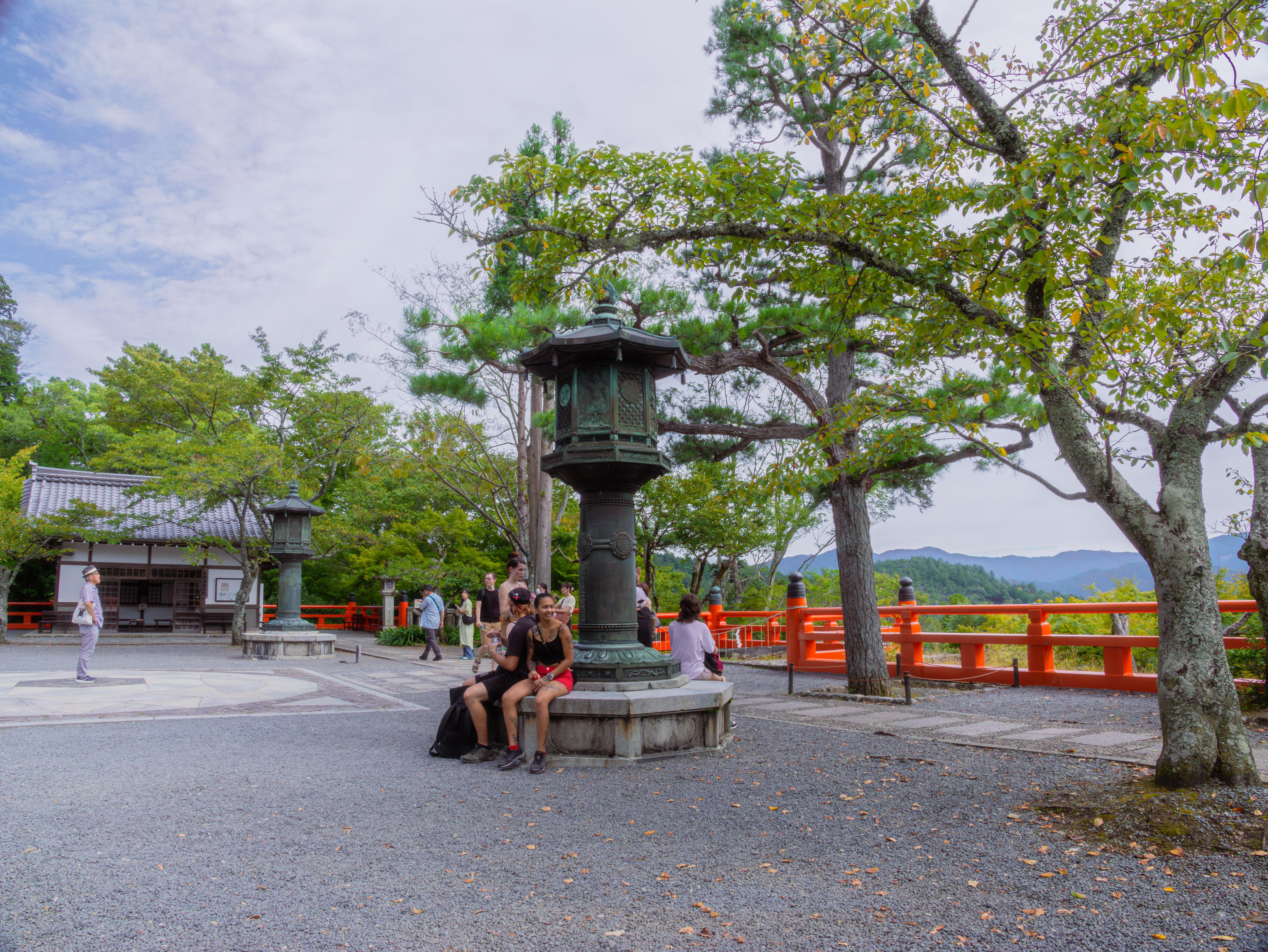 Kyoto experience — temples, geisha, bamboo grove — image 5