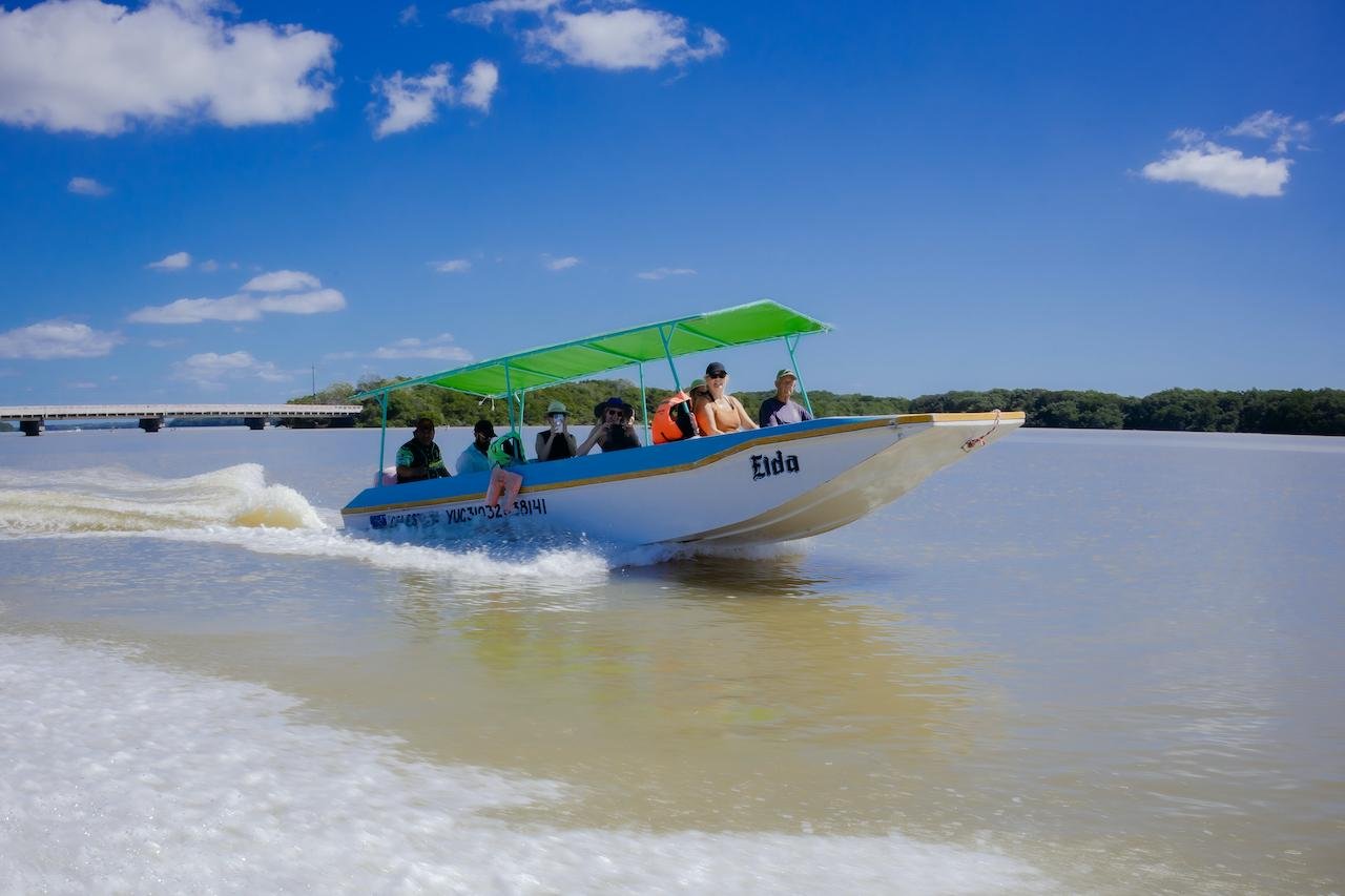 Celestún Flamingo Sanctuary & Beach Escape from Mérida