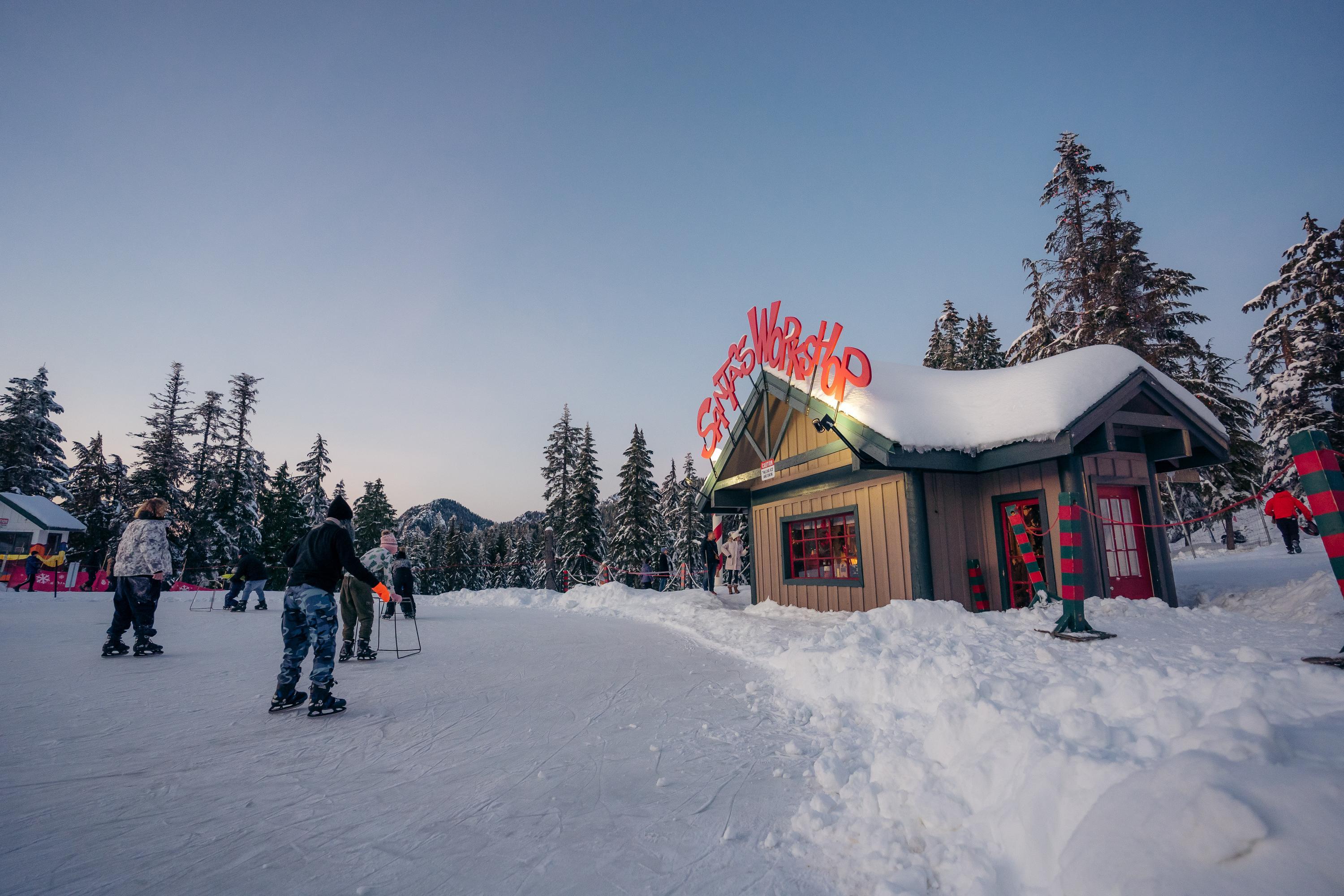 Vancouver Highlights: Capilano Bridge, Grouse Mountain & Lookout
