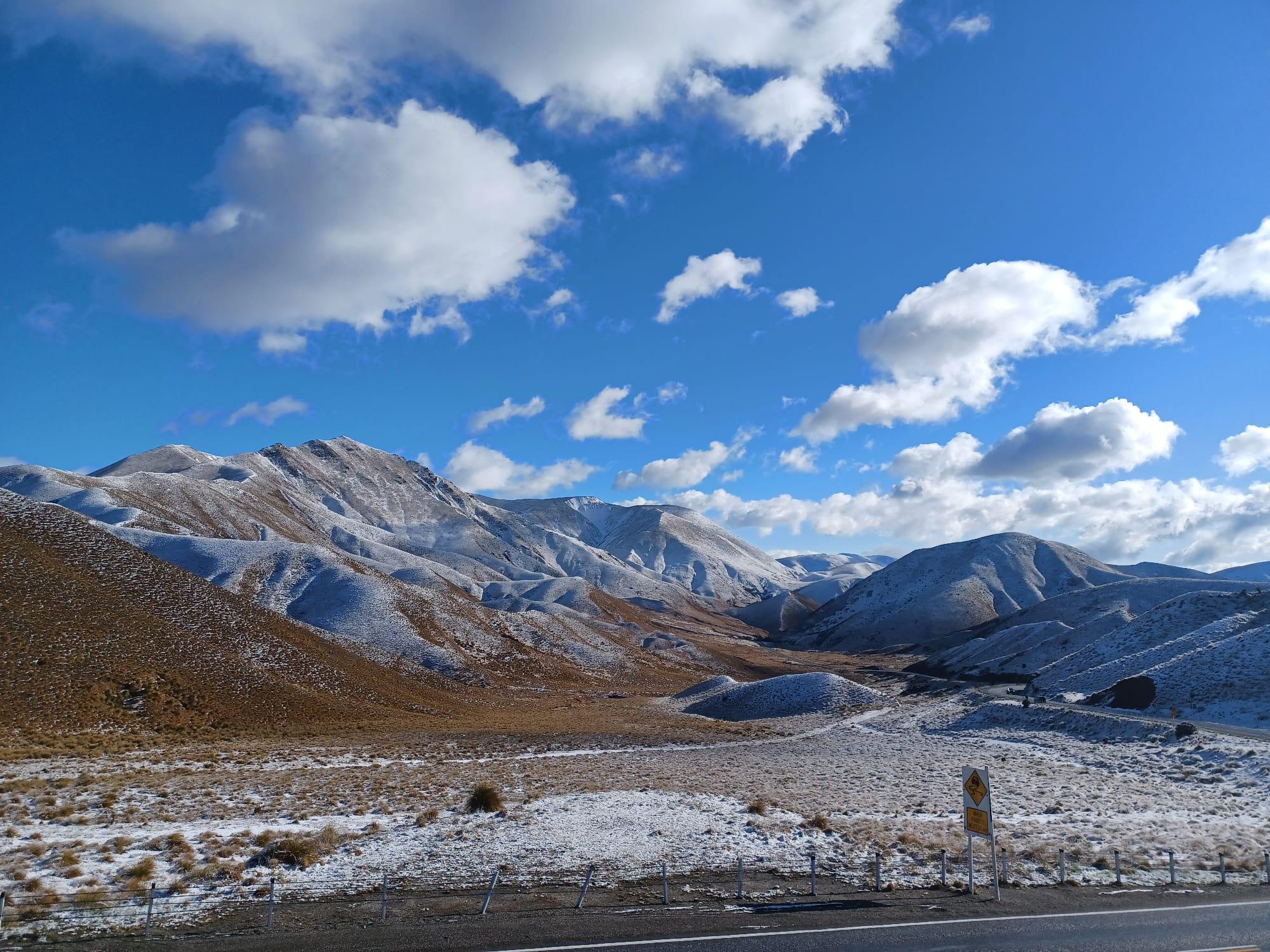 South Island guided tour photo — image 6