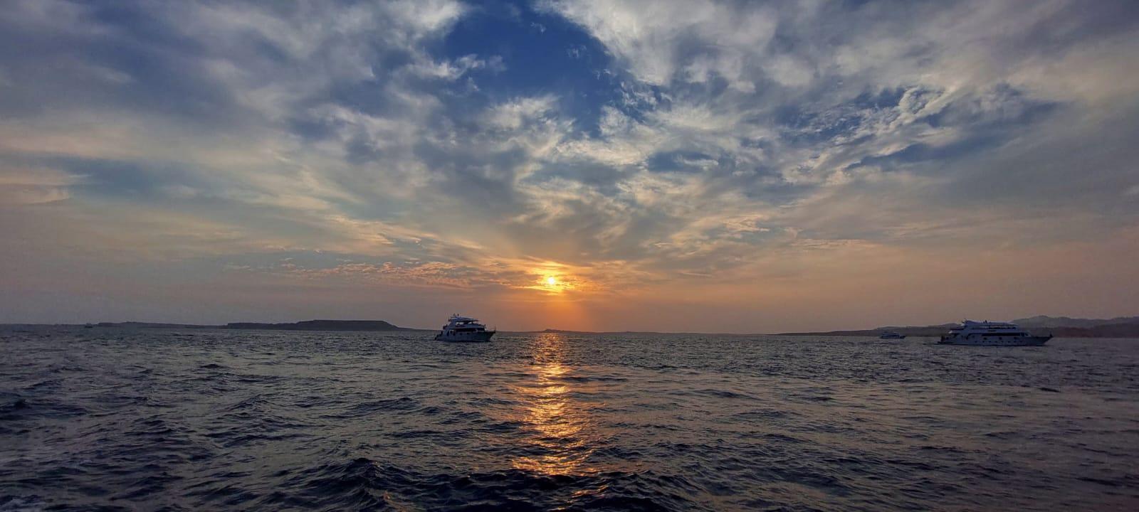 Ras Mohamed & White Island Snorkeling, Diving & Lunch from Sharm