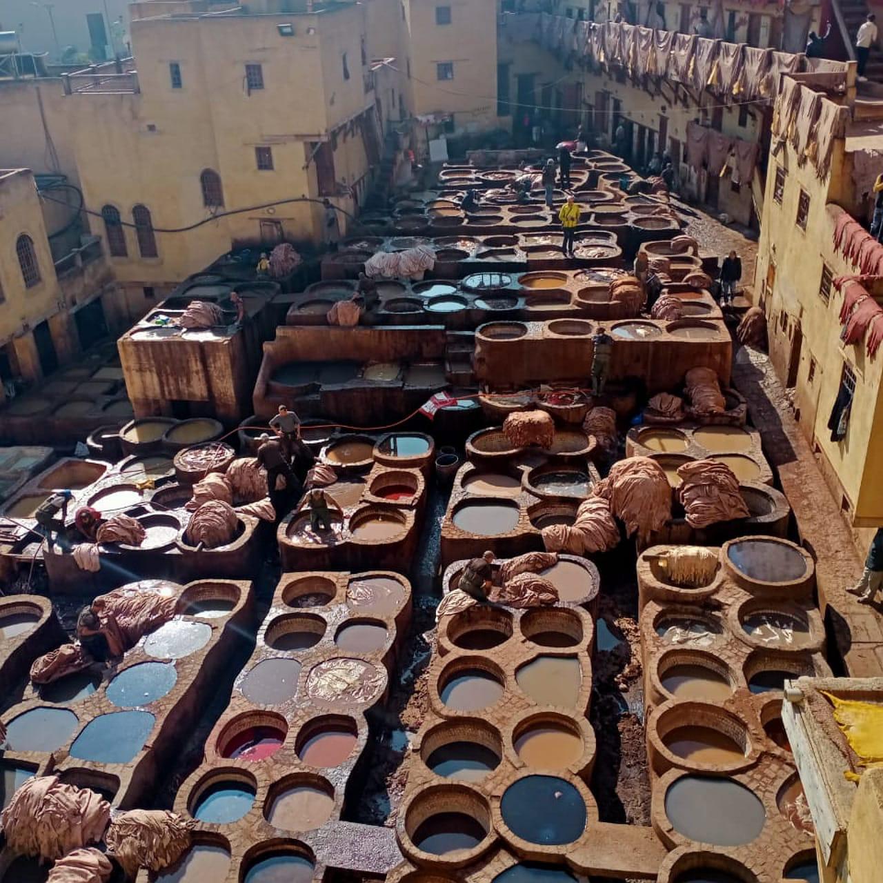 Fez Historic Medina Guided Walking Exploration