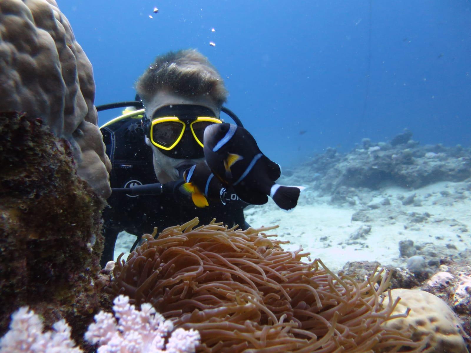 Belle Mare Scuba Discovery: East Coast Mauritius Dive