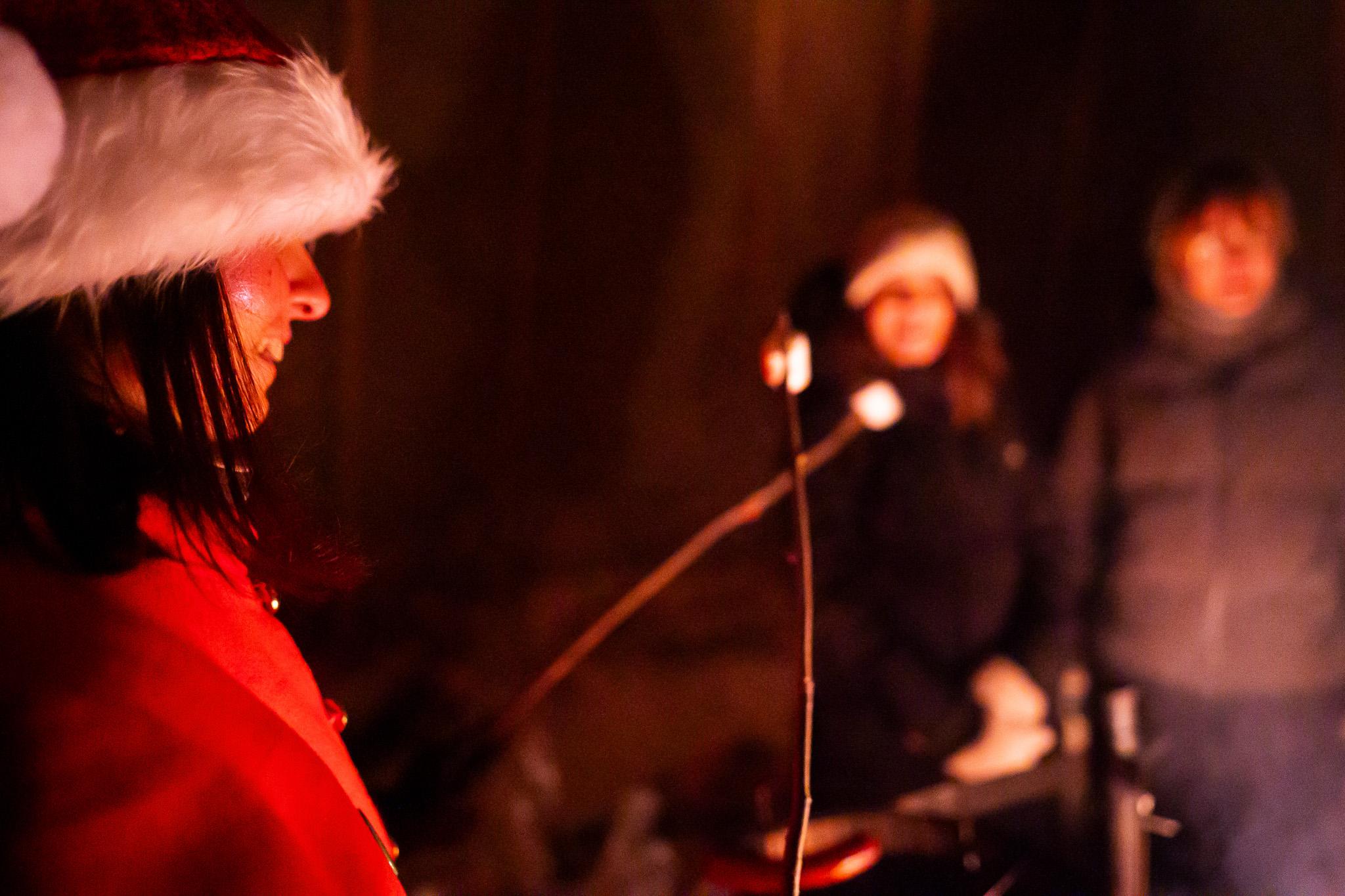 Rovaniemi: Santa Claus & Northern Lights Forest Experience