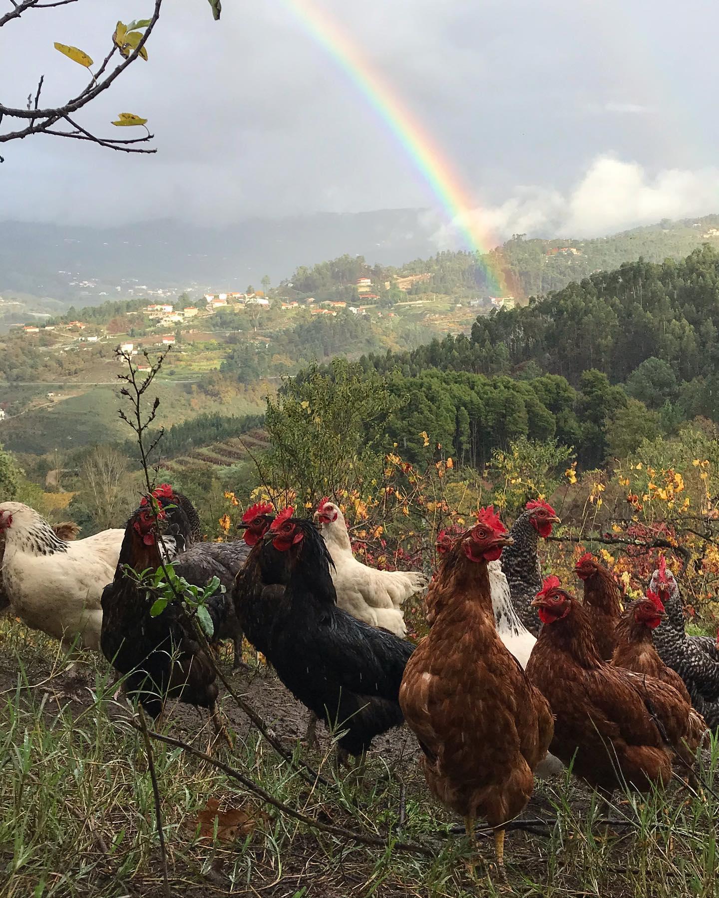 cooking class in Douro Valley — photo 7