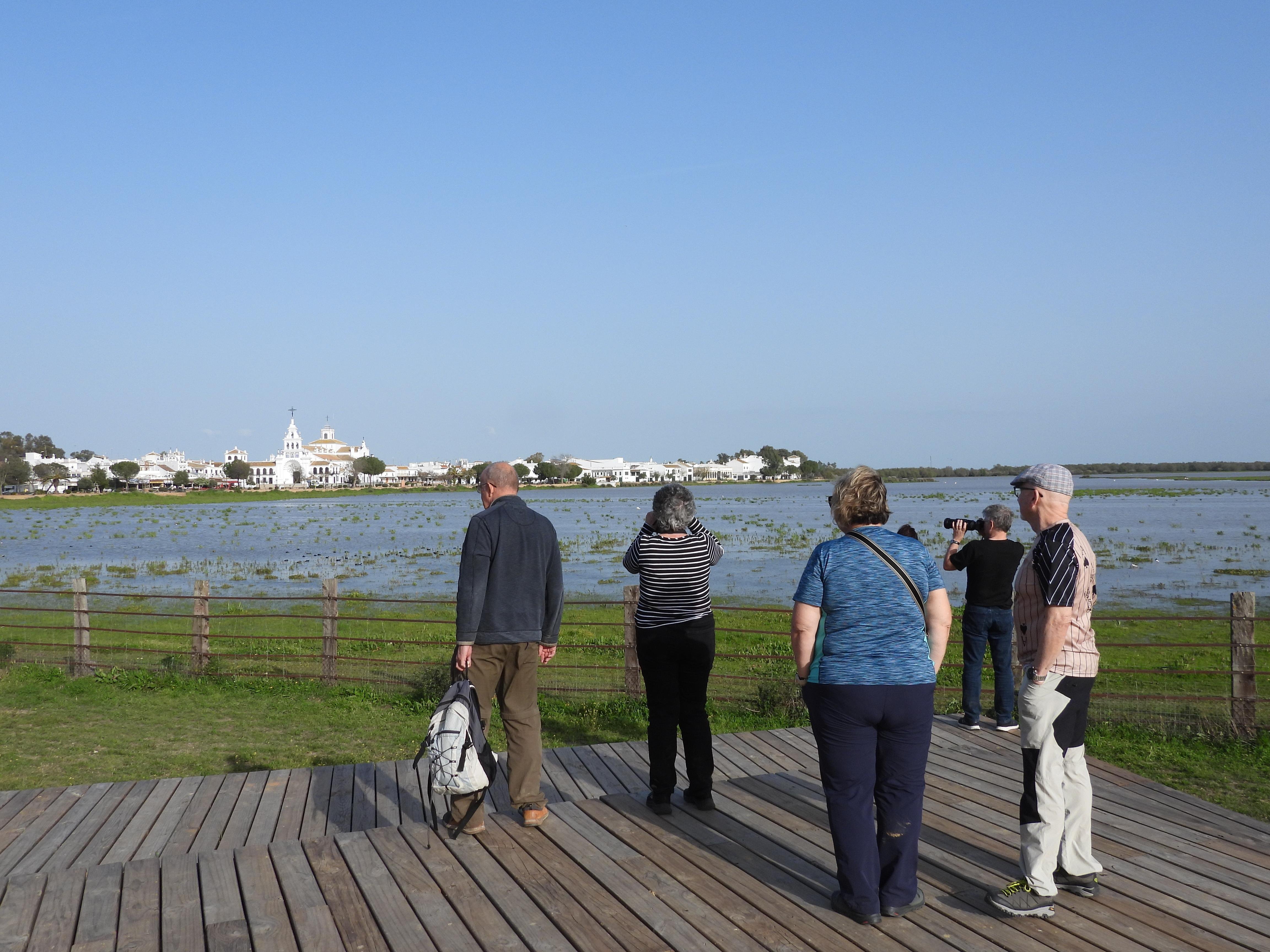 Doñana National Park Full-Day Excursion from Seville
