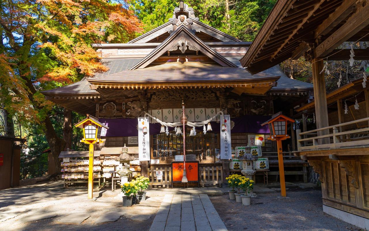 Private Mt. Fuji Day Tour from Tokyo