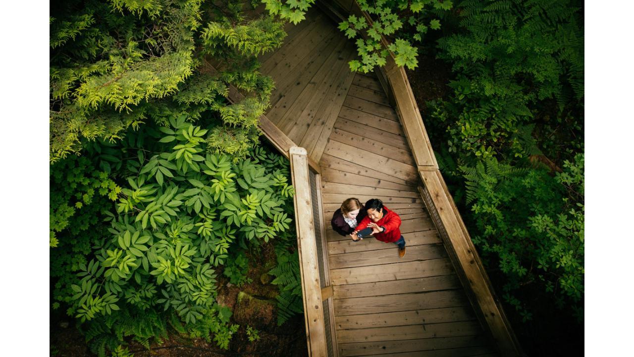 Capilano Suspension Bridge Park Entry