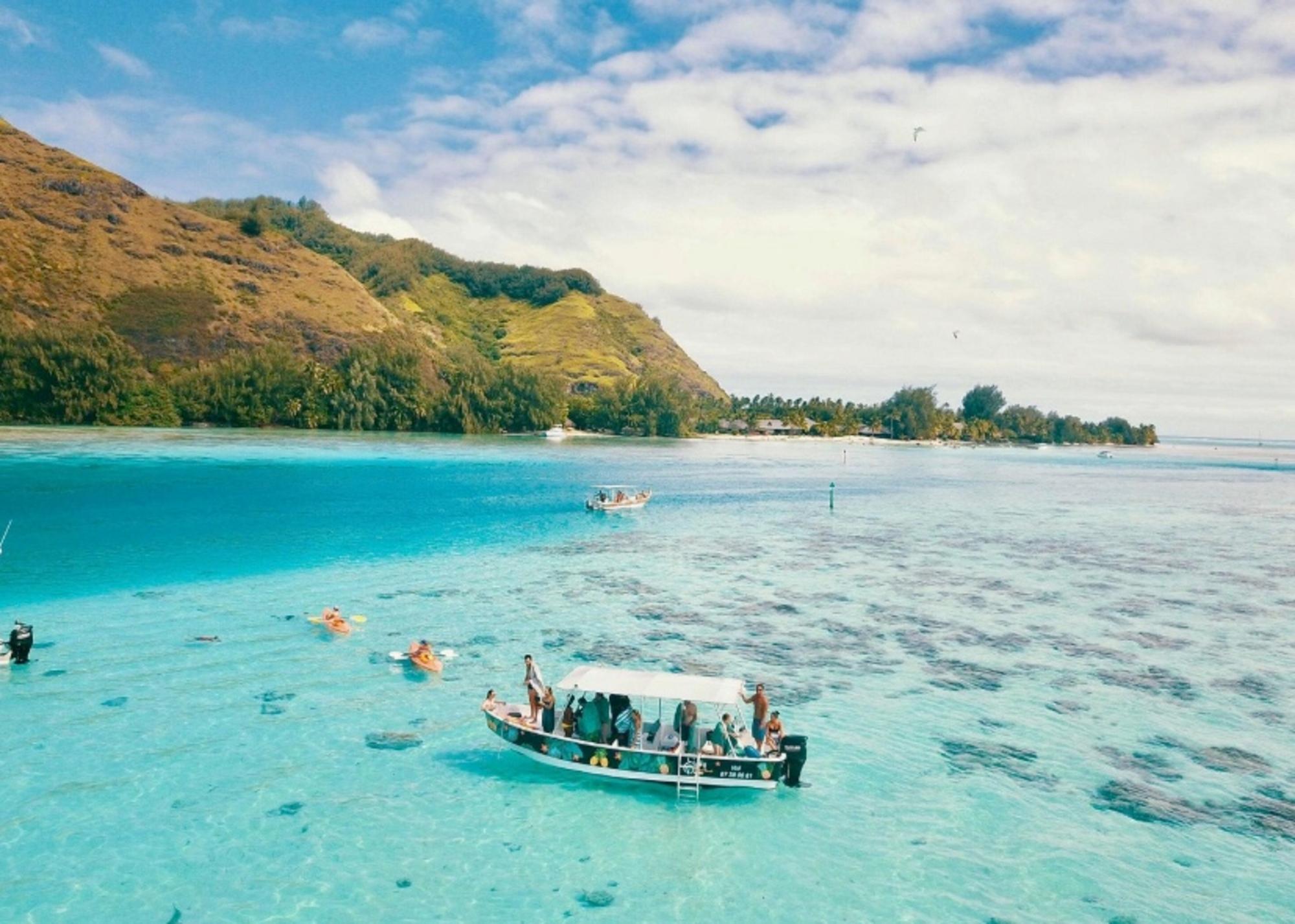 Moorea Lagoon Snorkeling Adventure with Marine Wildlife