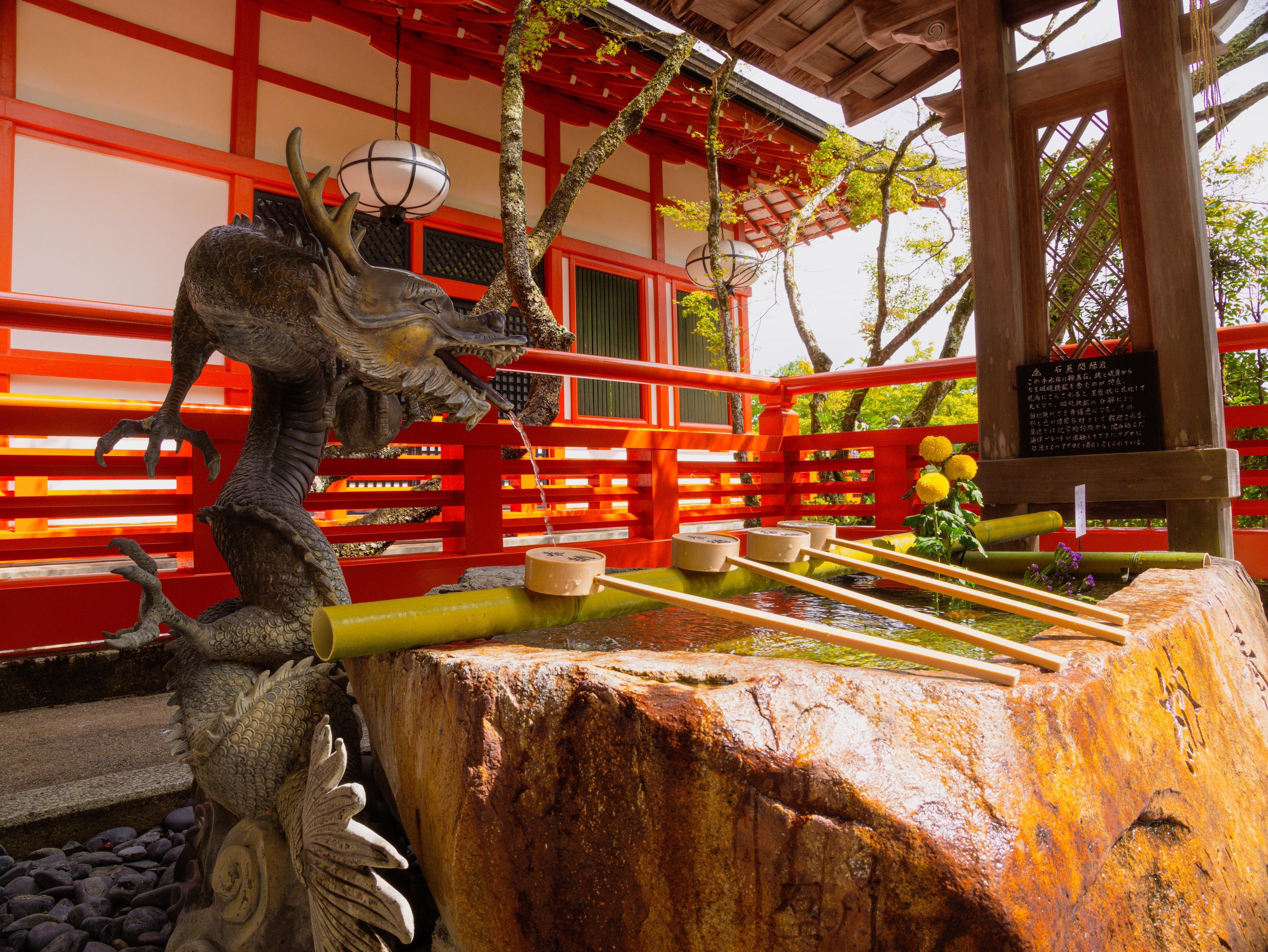 Kyoto experience — temples, geisha, bamboo grove — image 12