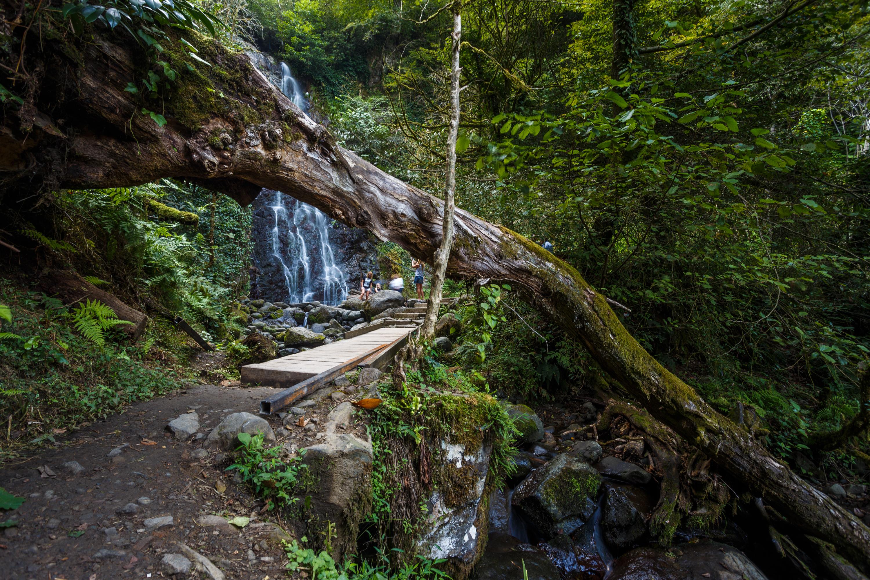 Adjara Wilderness Tour: Waterfalls, Historic Bridges & Mountain Feast