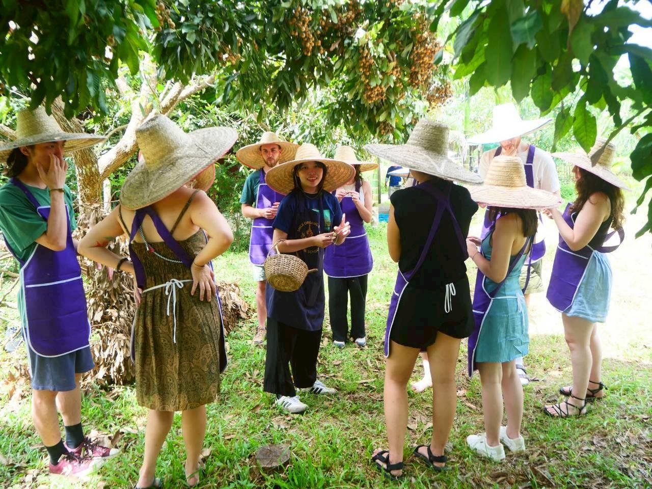 Half-Day Thai Cooking Class on a Local Farm Near Chiang Mai