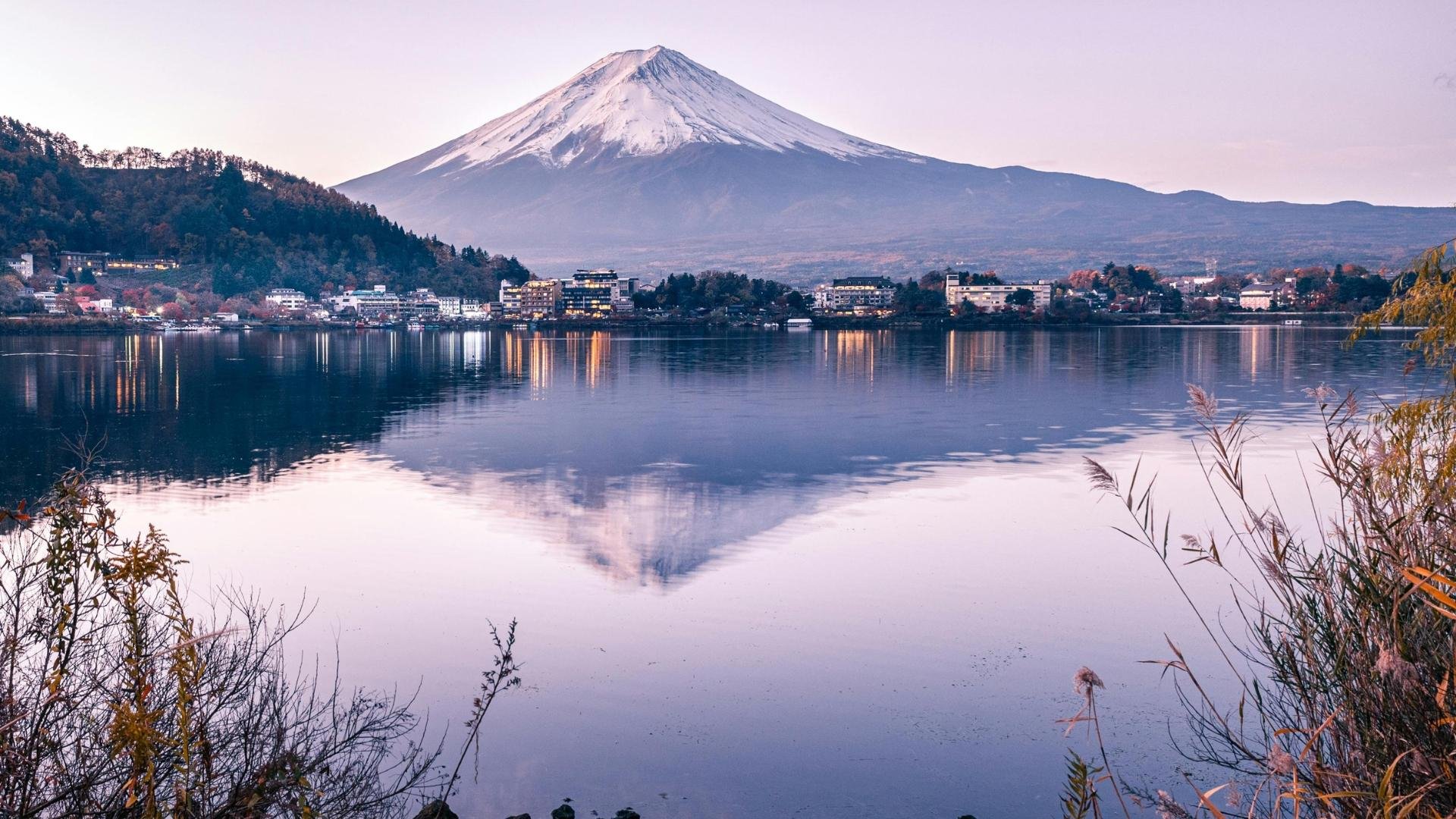 Mt. Fuji Iconic Views & Photography Day Trip from Tokyo