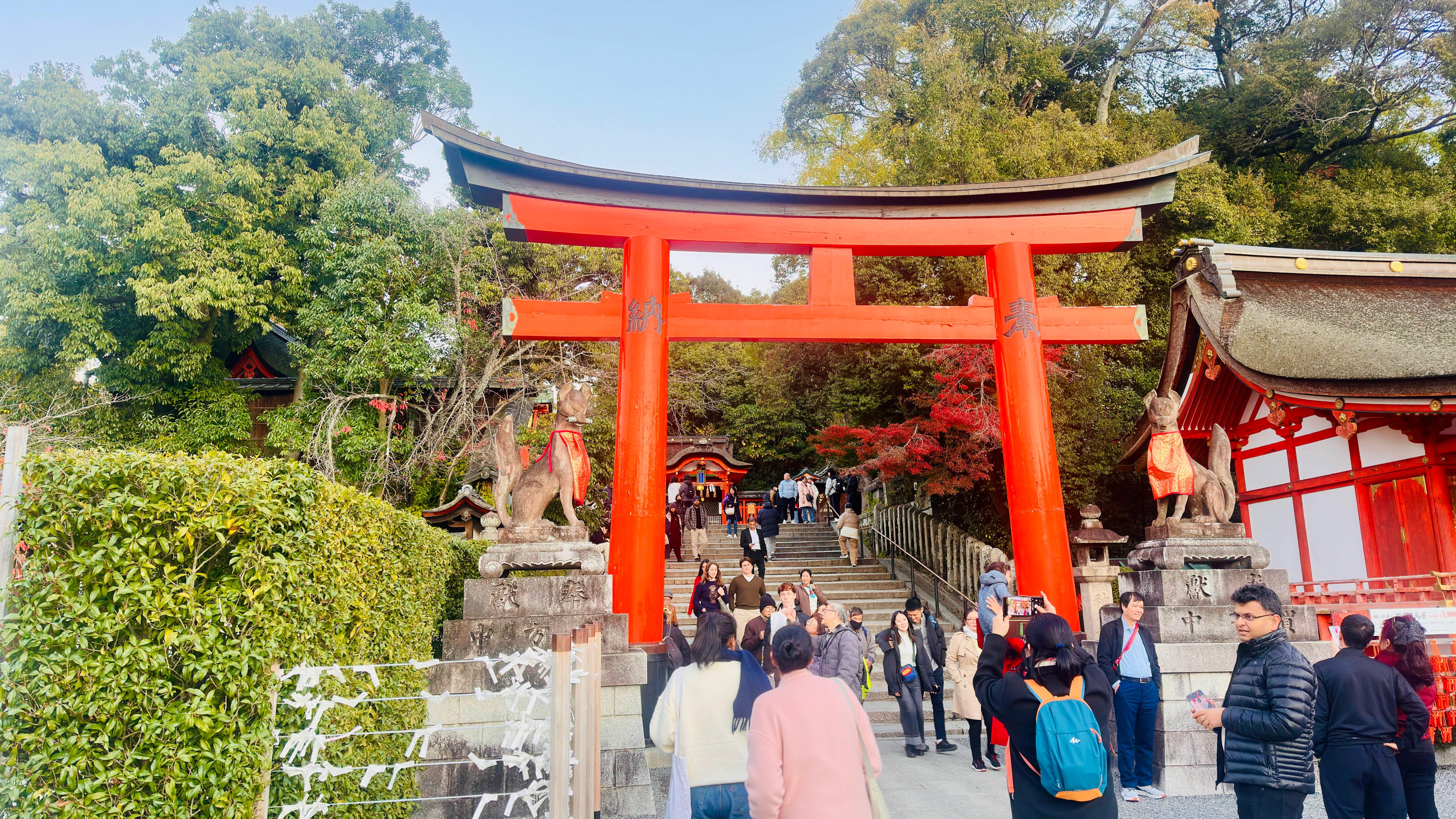 Privat høydepunkts-tur i Kyoto med sjåfør og engelskspråklig guide