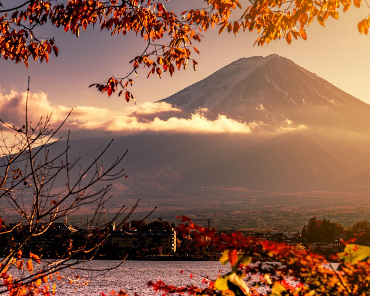 Tokyo to Mt. Fuji Private Tour with Photography & English-Speaking Guide