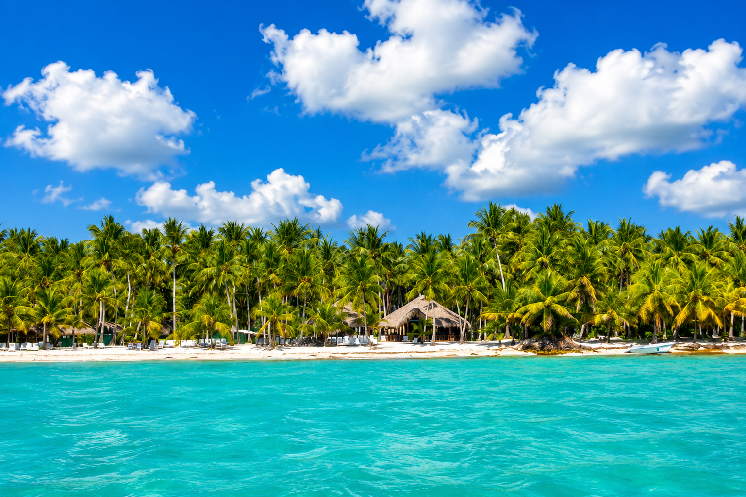 Saona Island Full-Day Adventure from Punta Cana