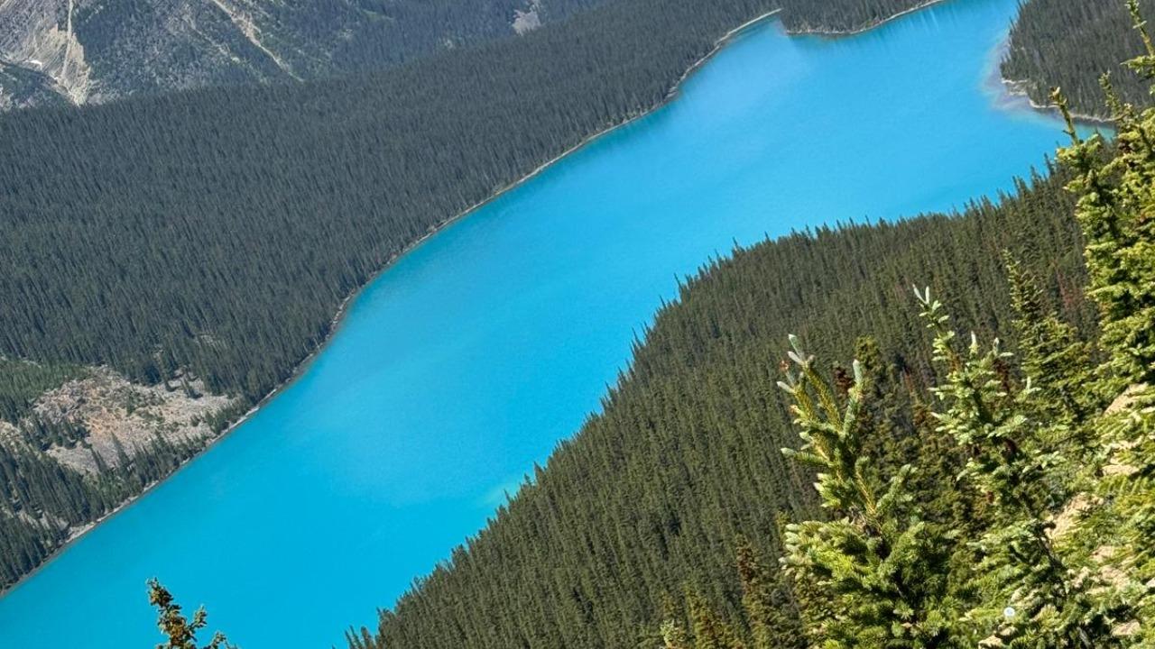 Icefields Parkway tour — Columbia Icefield, Peyto Lake and Bow Lake, Alberta — image 5