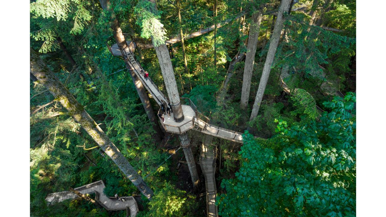 Capilano Suspension Bridge Park Entry