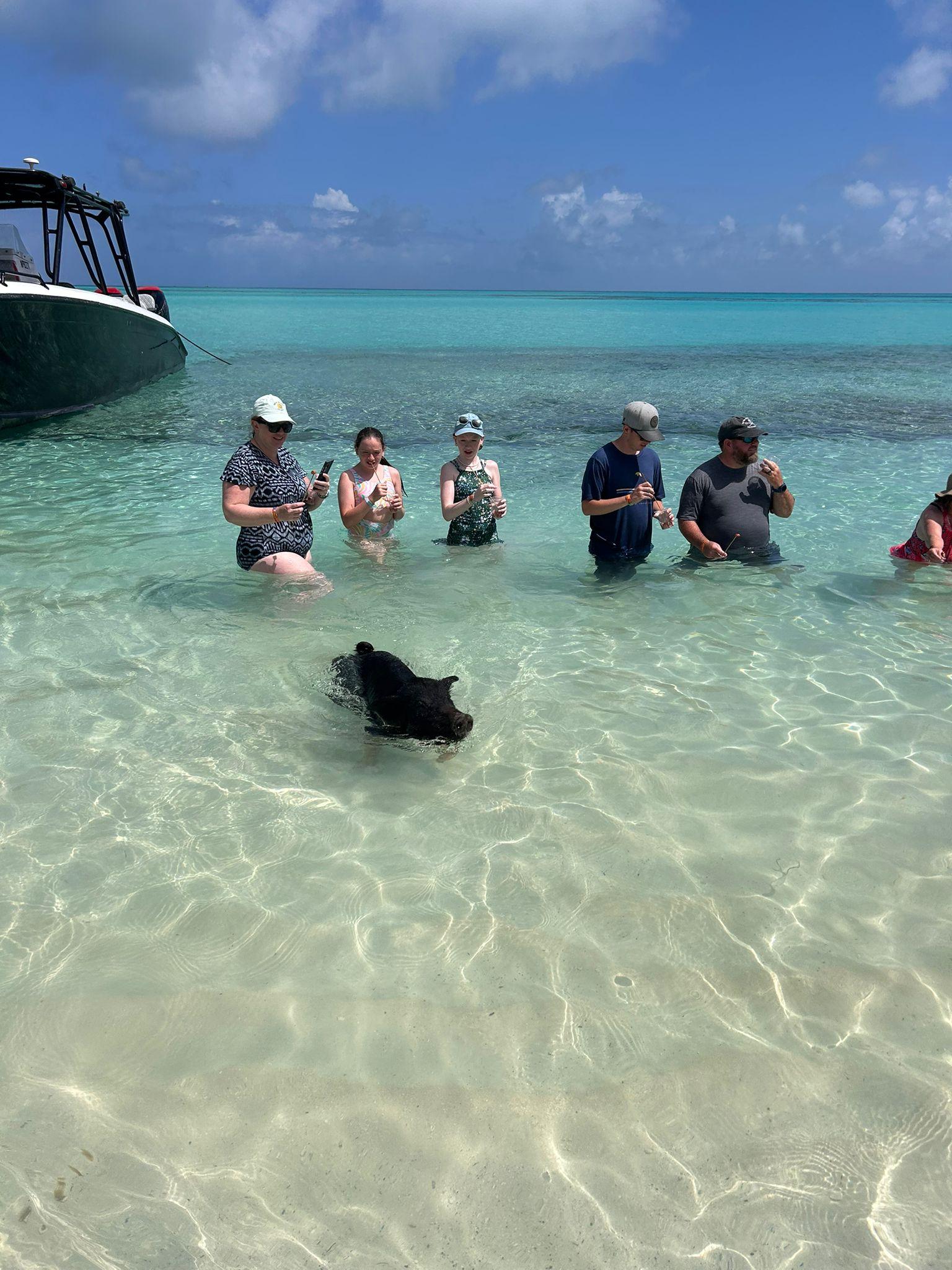 Nassau 3-Island Speedboat Adventure: Pigs, Turtles & Snorkeling
