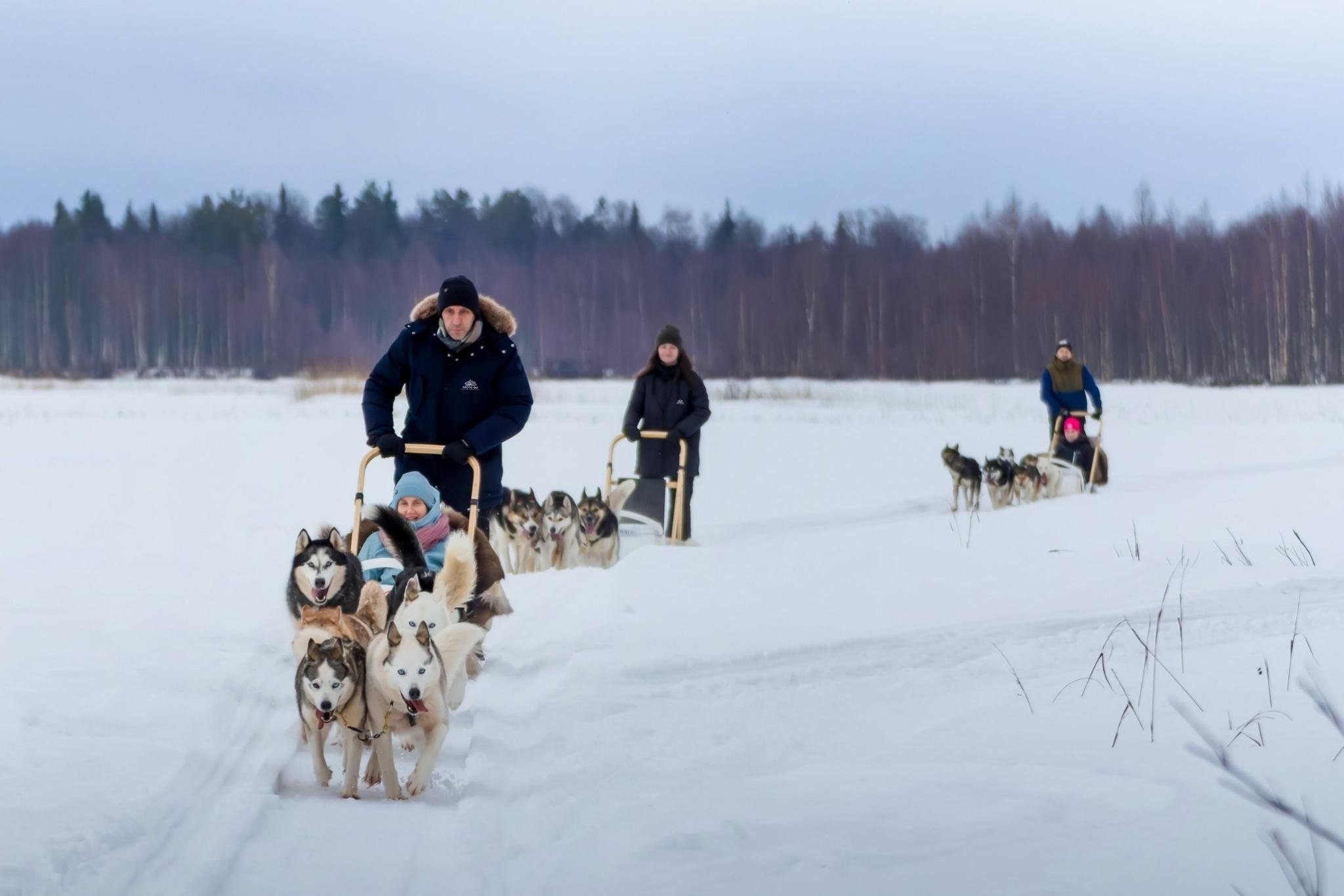 Rovaniemi Husky Safari: Drive Your Own Team & Lapland BBQ