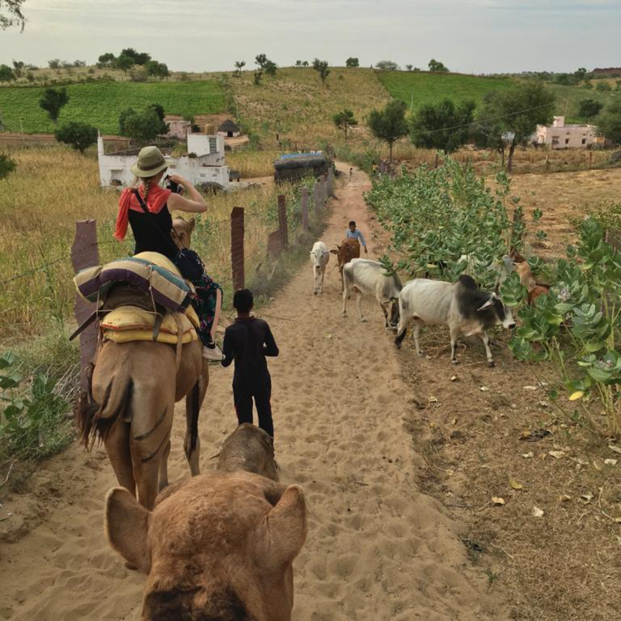 Thar Desert Overnight Camel Safari & Village Stay