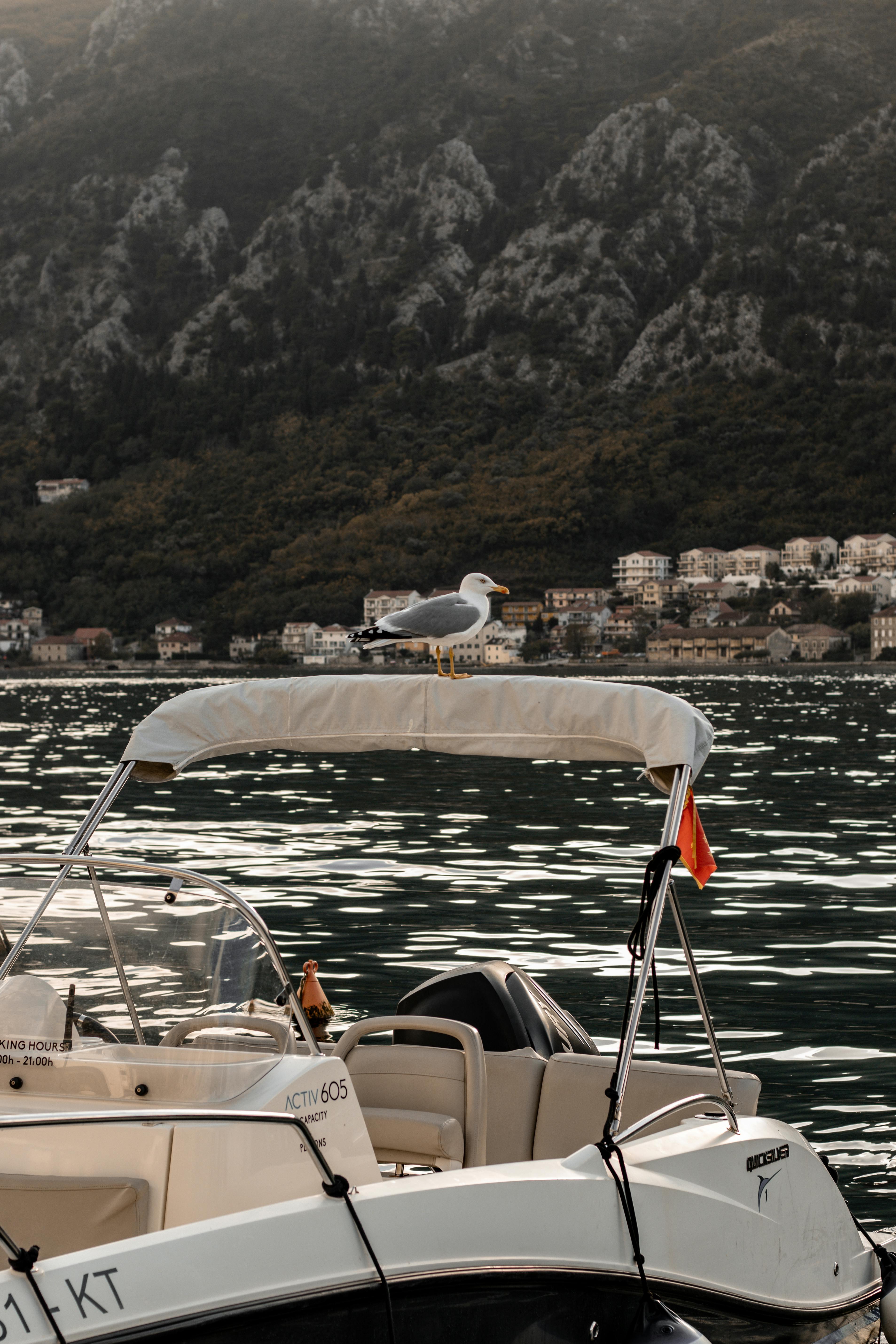 Kotor Bay boat tour to Perast — image 39