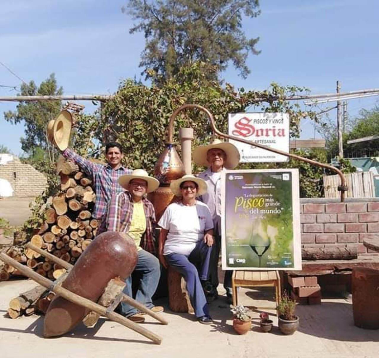 Excursión de un día a Paracas y Huacachina: vida silvestre, aventura en el desierto y cata de vinos