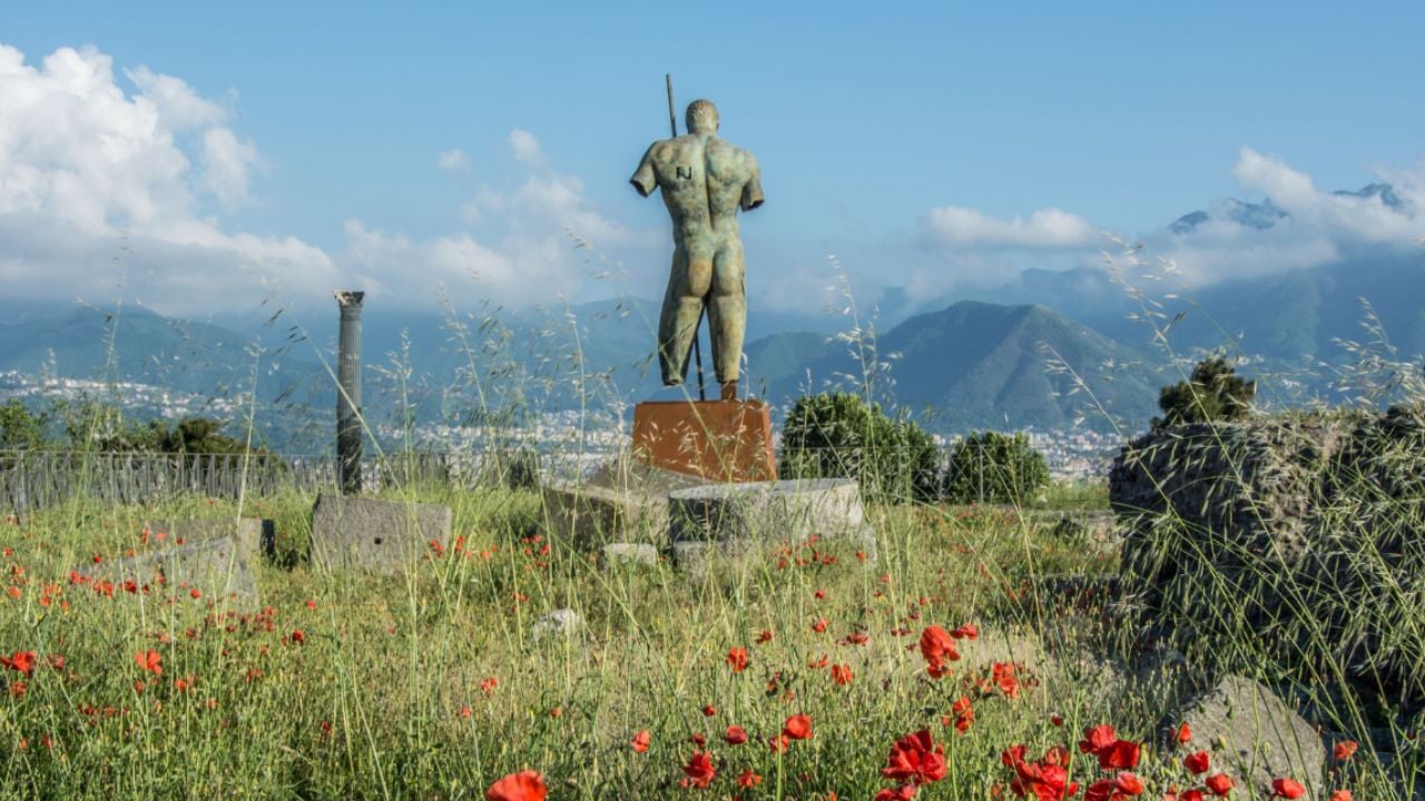 Pompeii Discovery: High-Speed Train, Wine Tasting & Lunch