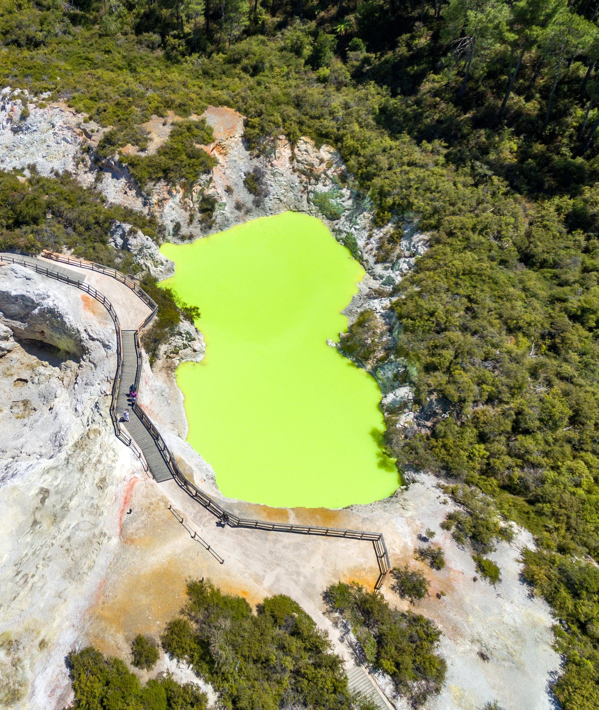From Auckland: Wai-O-Tapu & Polynesian Spa Rotorua Day Tour