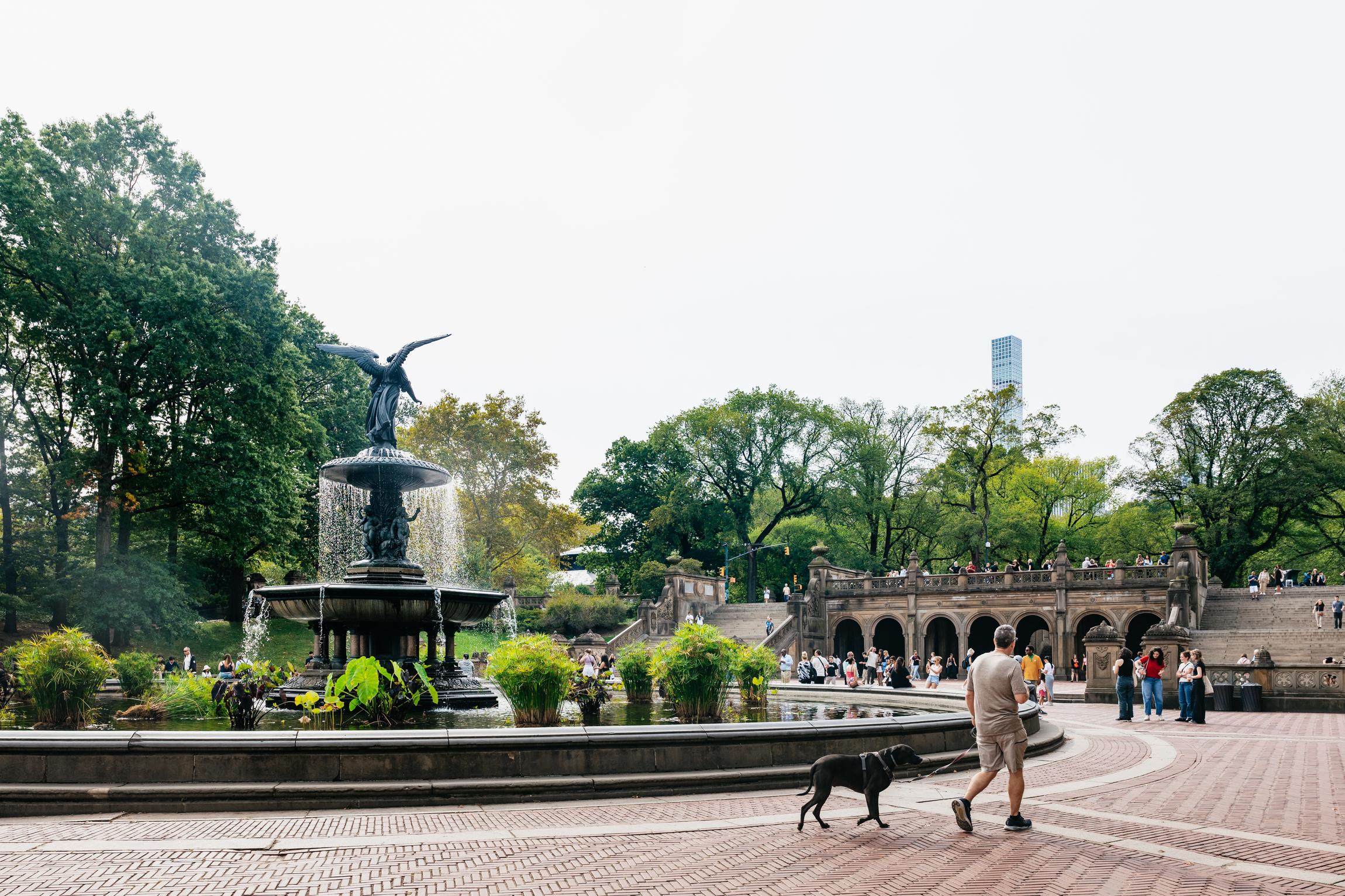 Central Park Private Pedicab Tour with Photographer