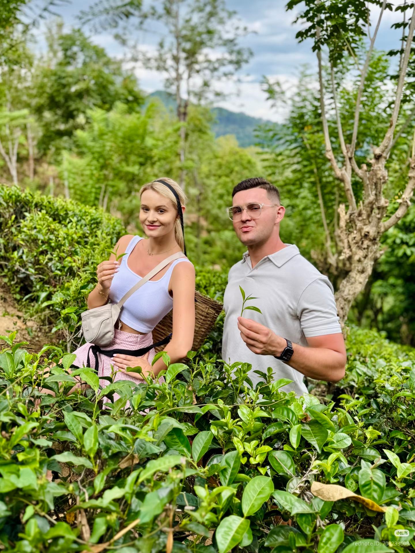 Nuwara Eliya Hidden Highlands Tuk-Tuk Safari