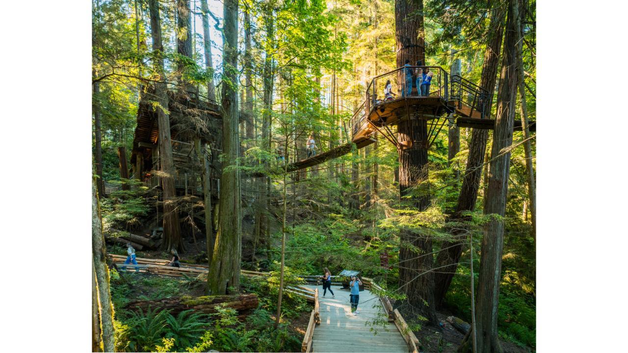 Capilano Suspension Bridge Park Entry