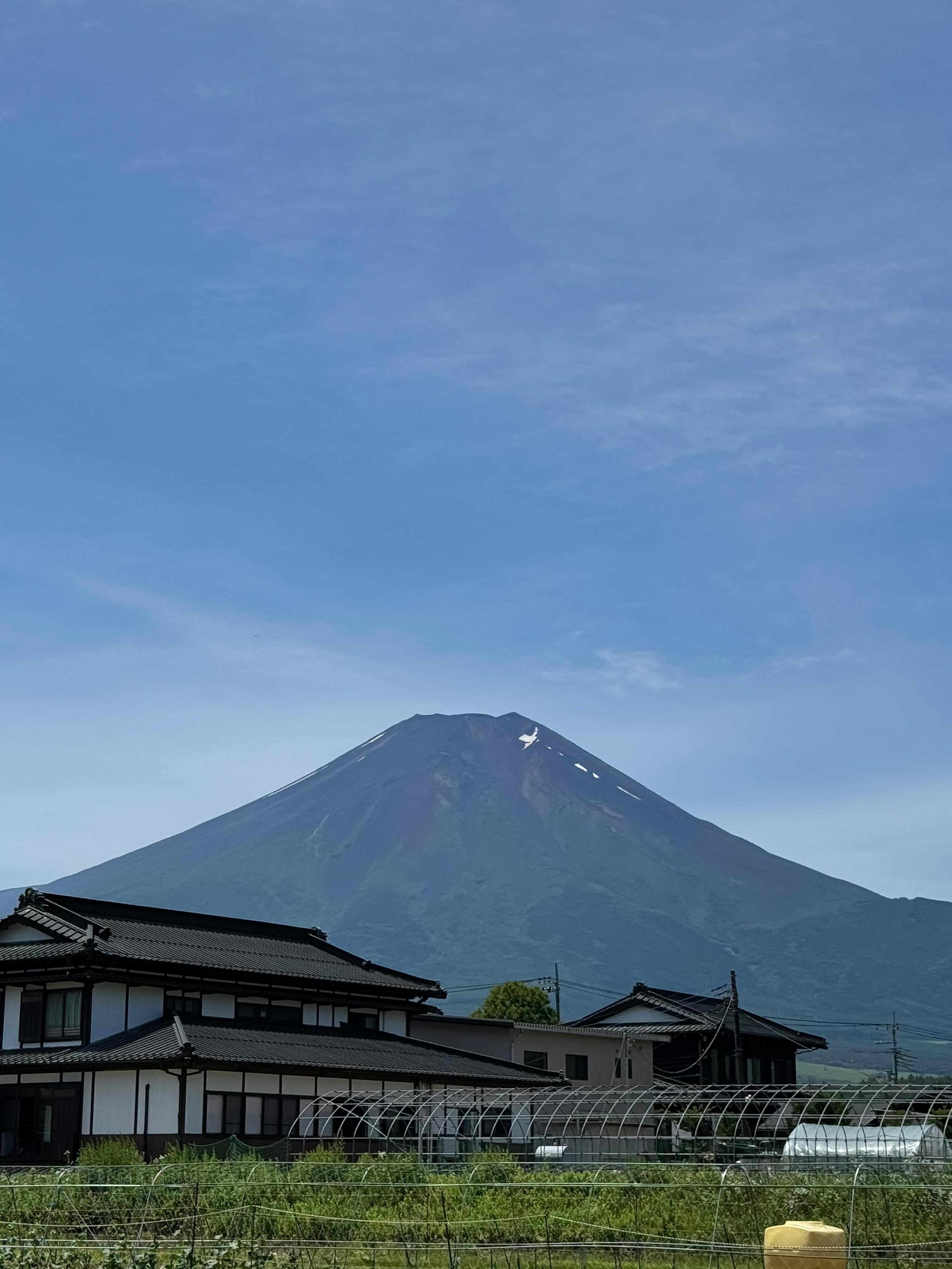 Tokyo to Mt. Fuji & Hakone: Private Full-Day Tour with English Driver