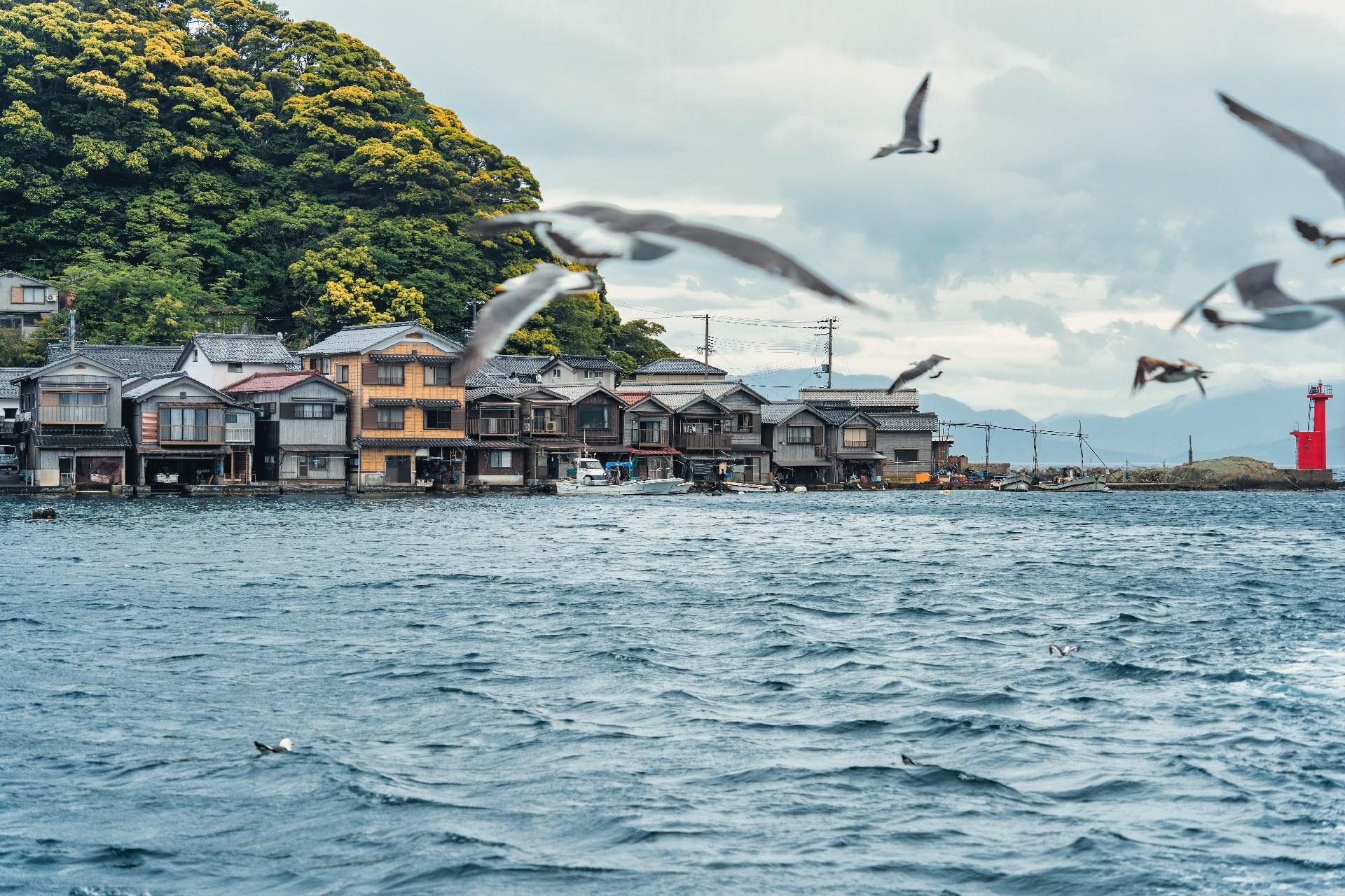 Ine Bay and Amanohashidate Scenic Day Tour from Kyoto or Osaka