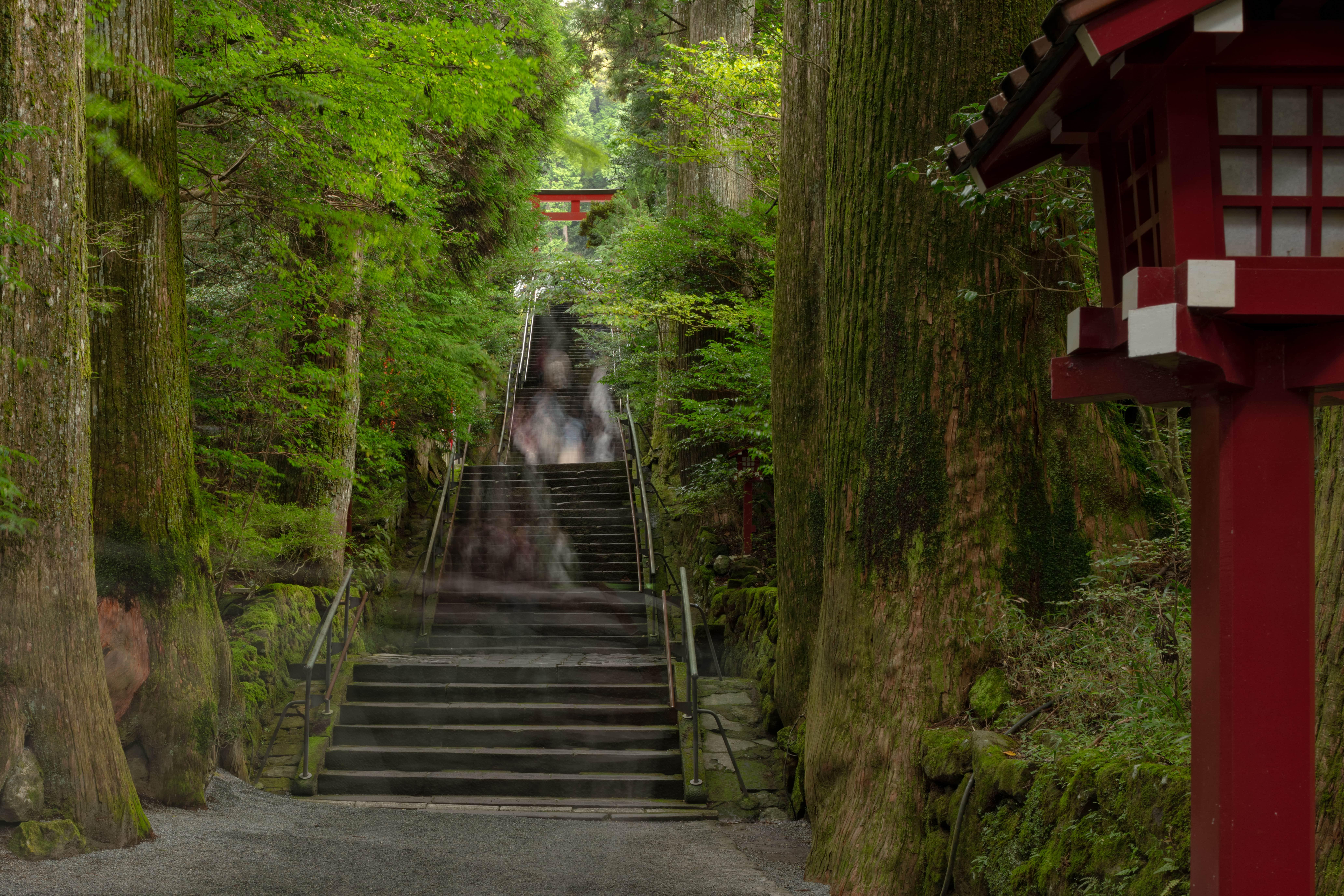 From Tokyo: Private Tour to Fuji/Hakone - Onsen, Art, Nature — Japanese onsen experience photo 32