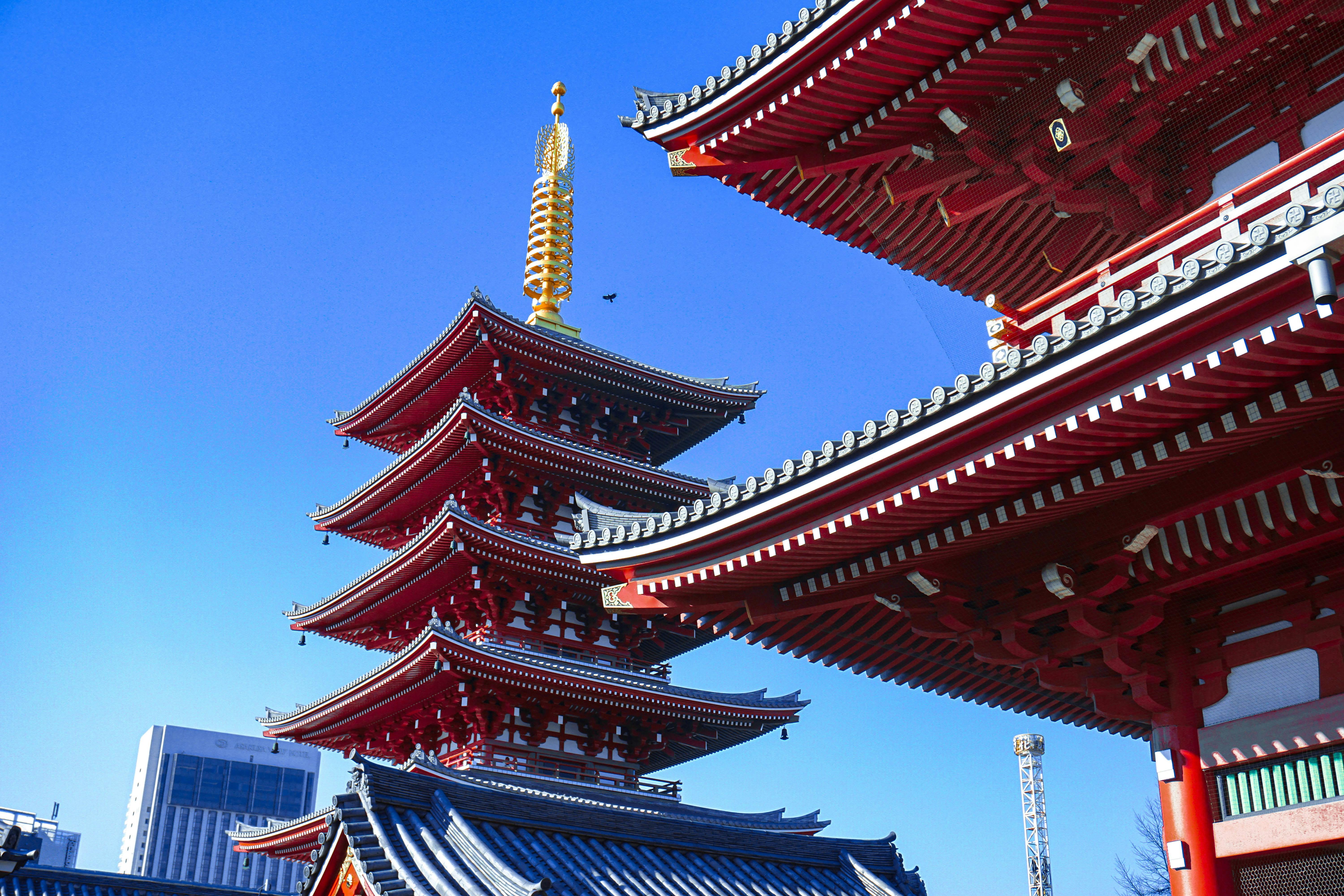 Tokyo Private Tour: Asakusa to Skytree – Engineering Through the Ages