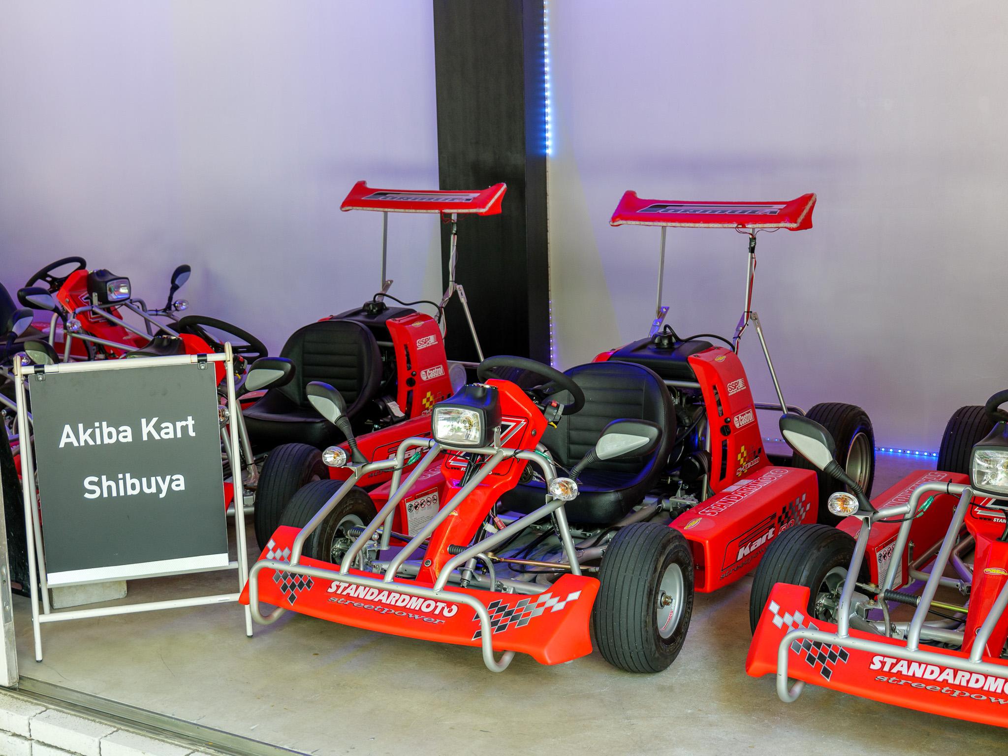 Tokyo Go-Kart Adventure: Shinjuku to Shibuya in Costume