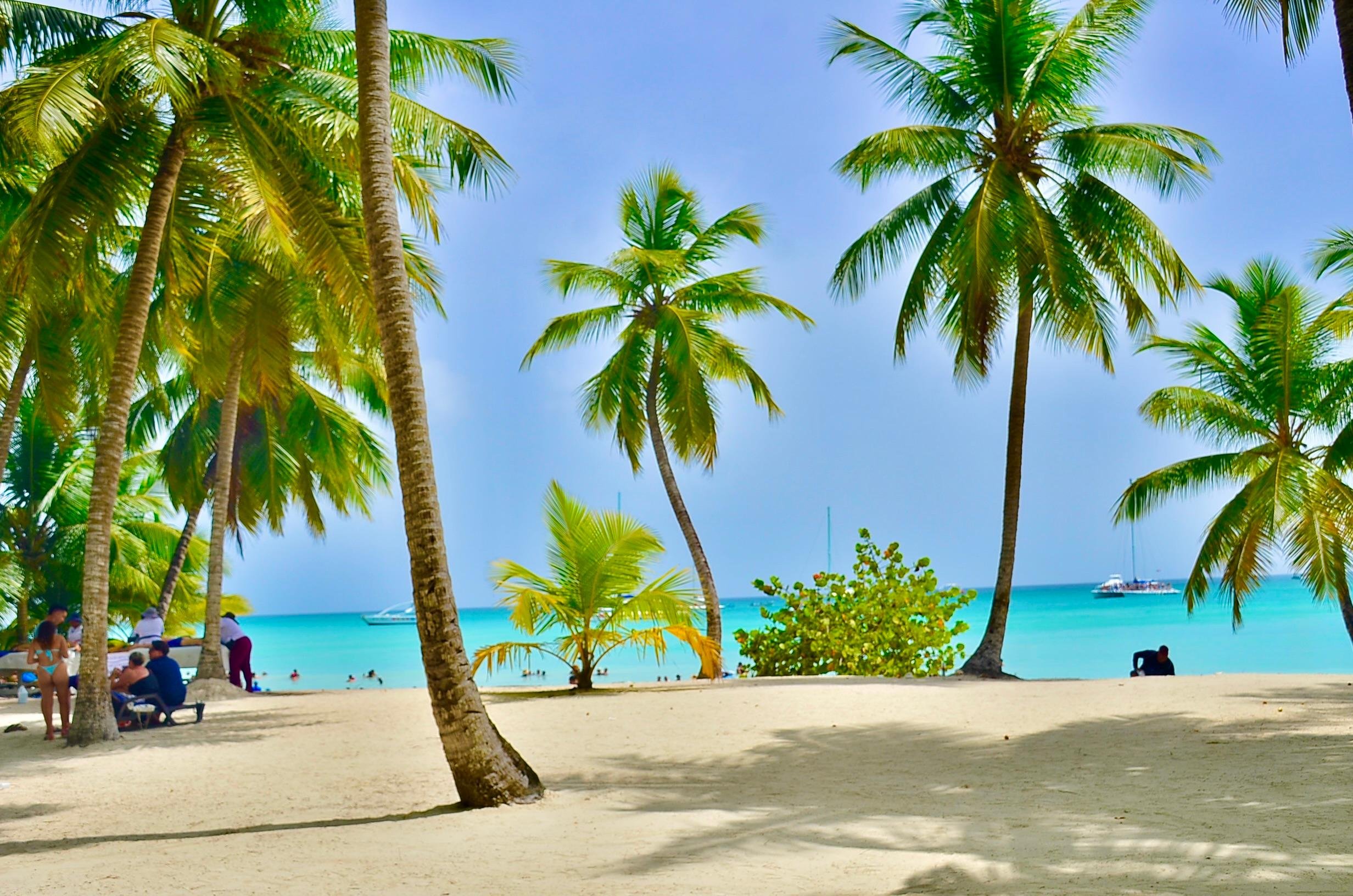 Saona Island boat tour — image 7