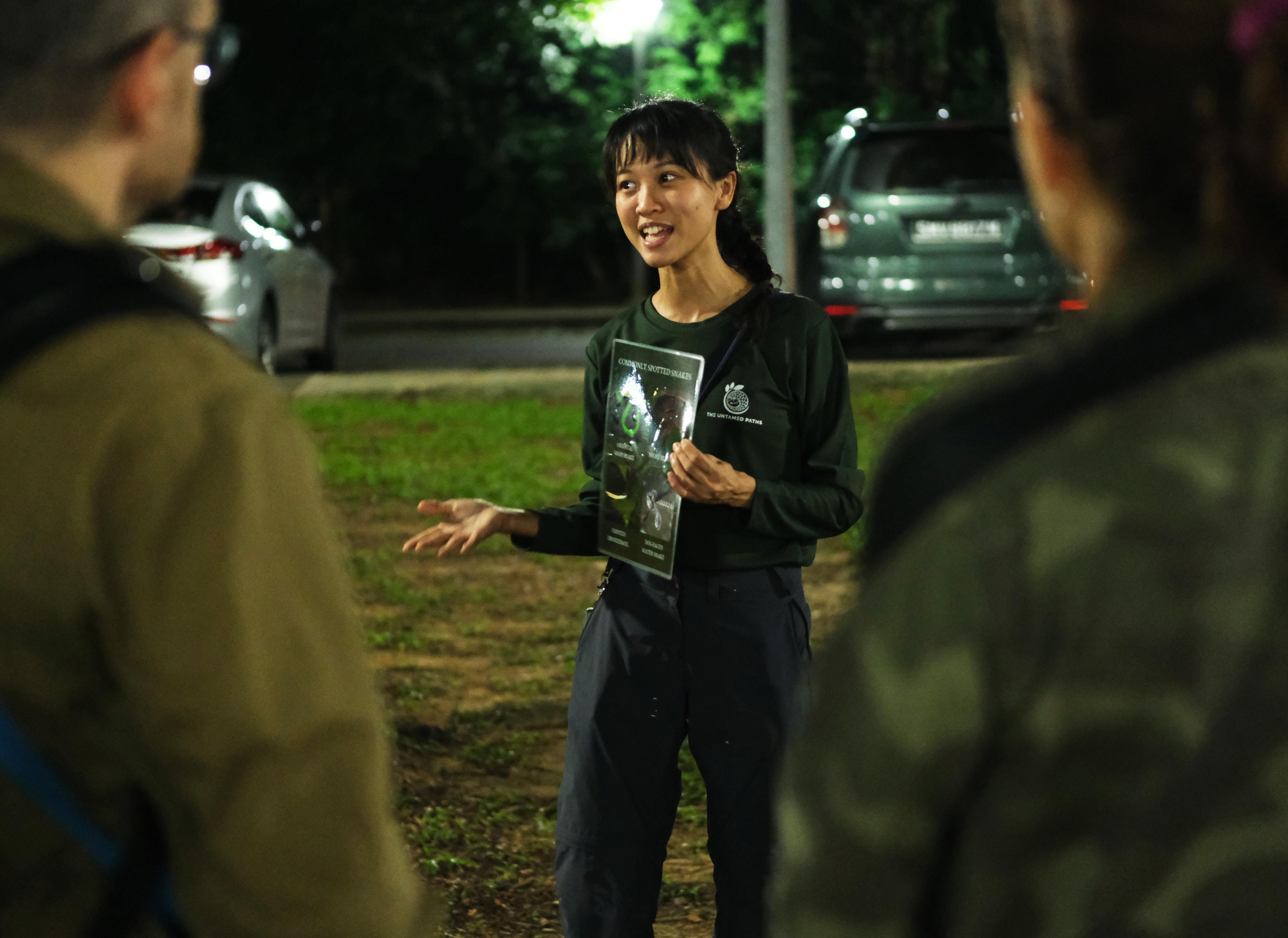 Mangrove Wildlife Walk After Dark