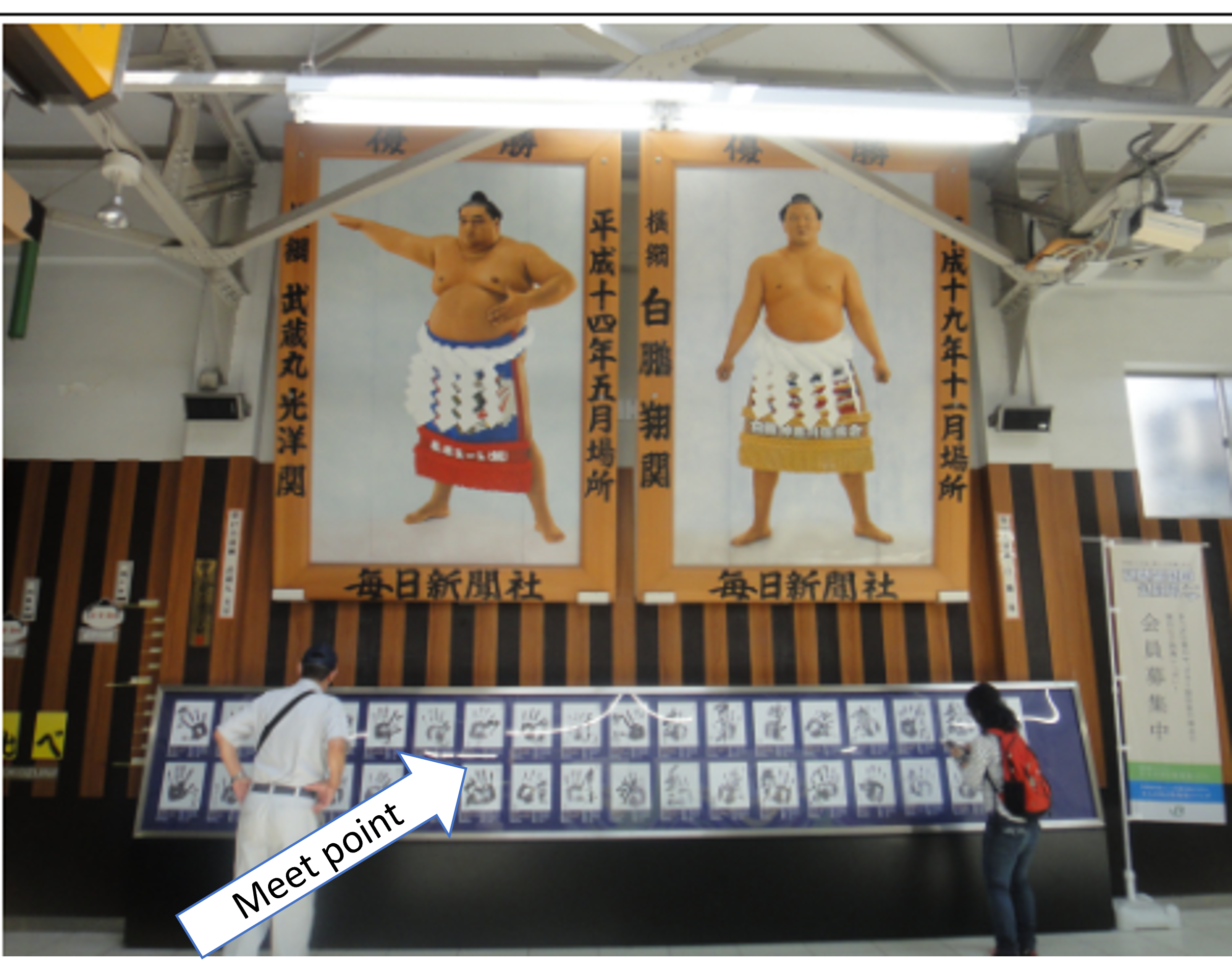 Tokyo & Nagoya Grand Sumo Tournament w/ a Licenced Guide