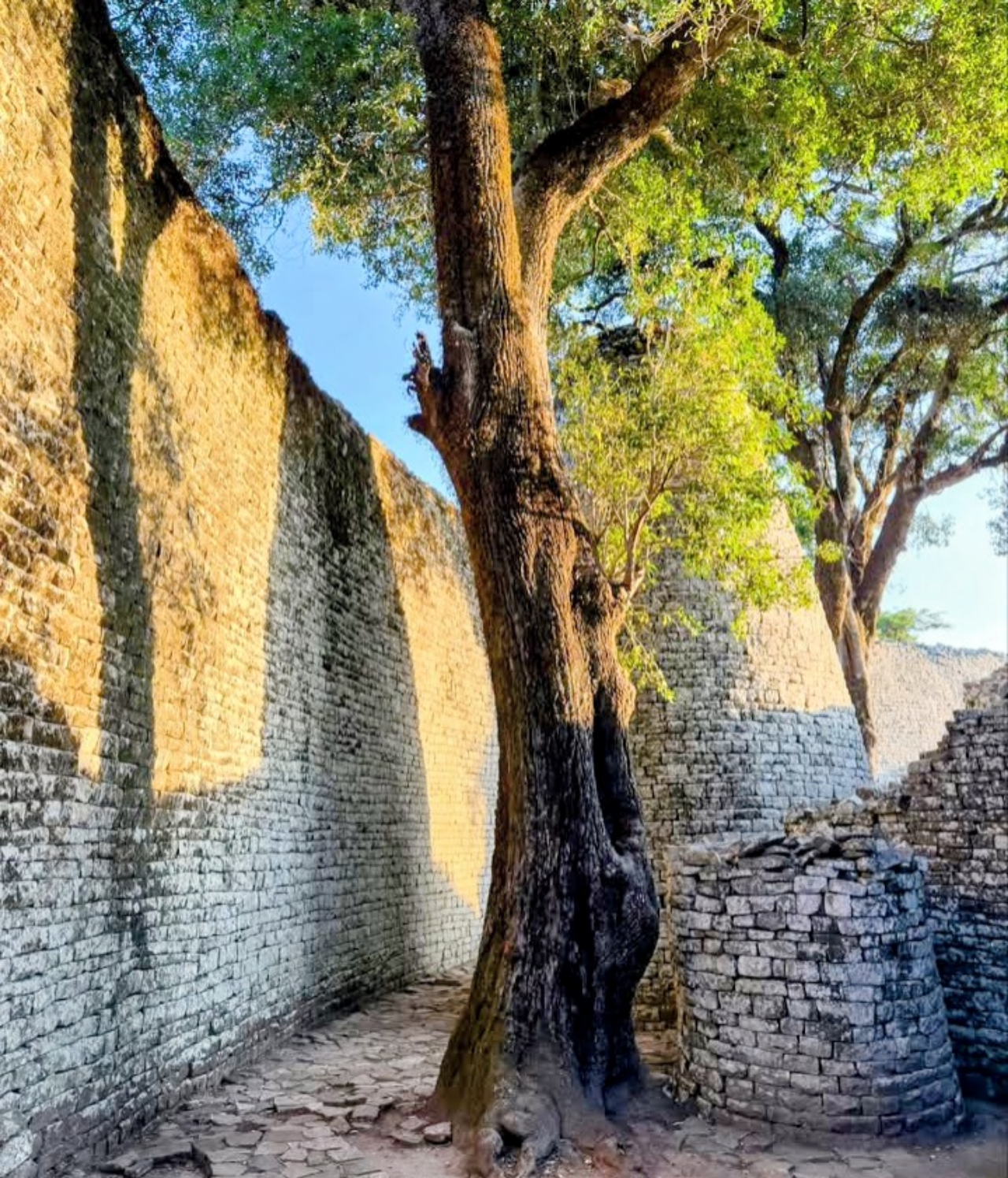Great Zimbabwe Ancient Ruins Full-Day Tour from Harare