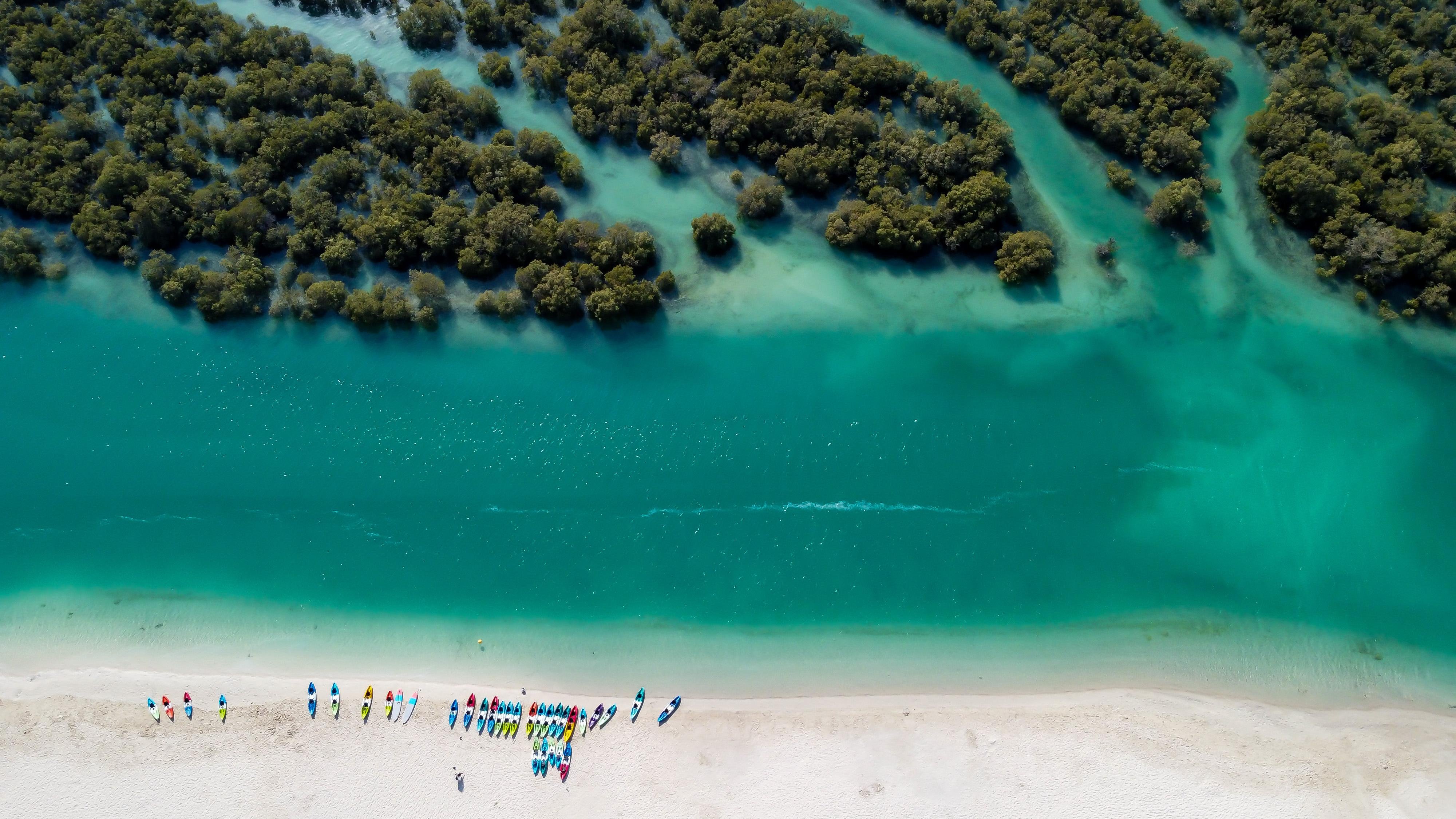Abu Dhabi Mangrove Kayaking with Hotel Transfer