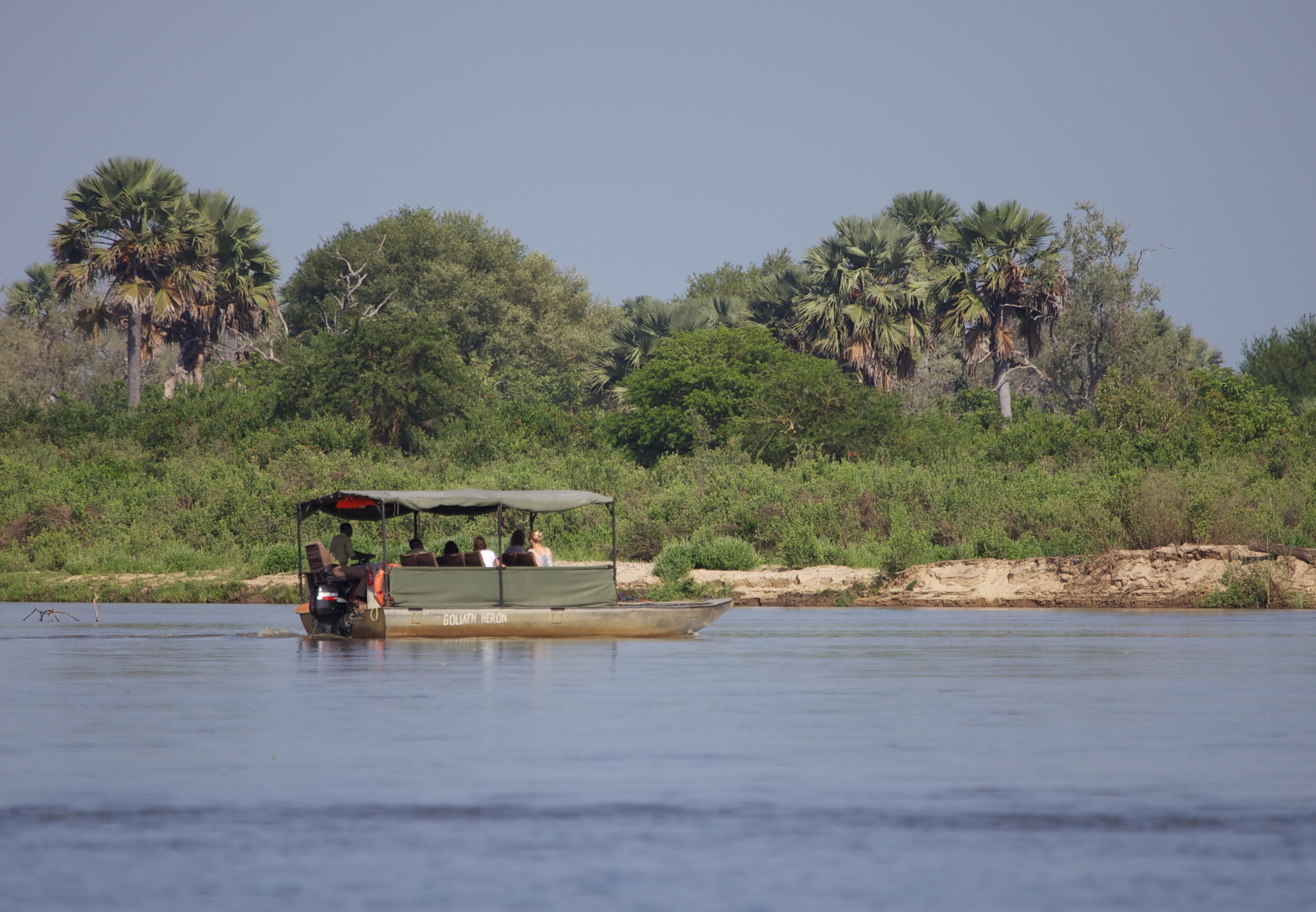 Zanzibar to Selous Game Reserve: Fly-In Day Safari