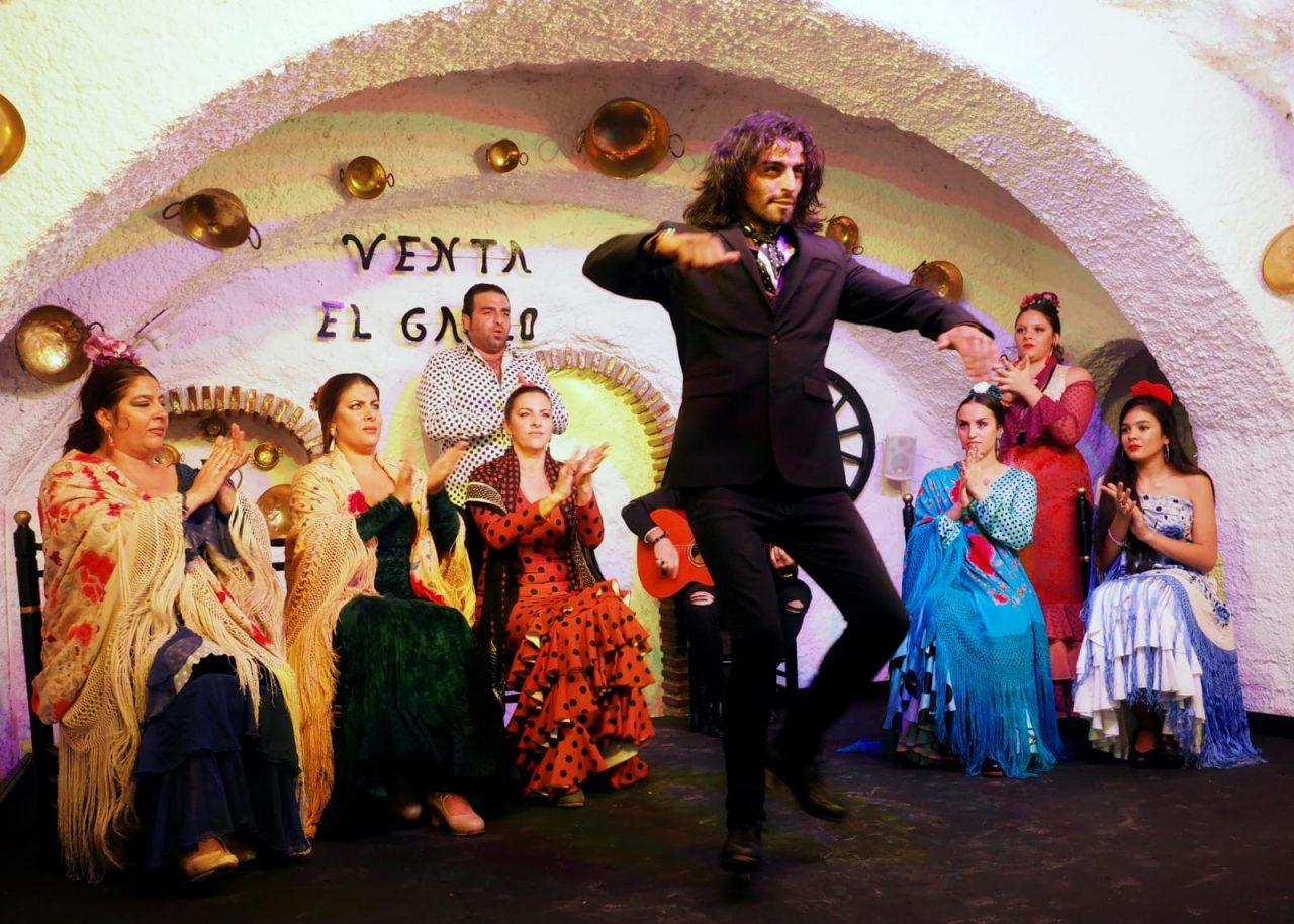 Authentic Flamenco Performance at Venta El Gallo Cave