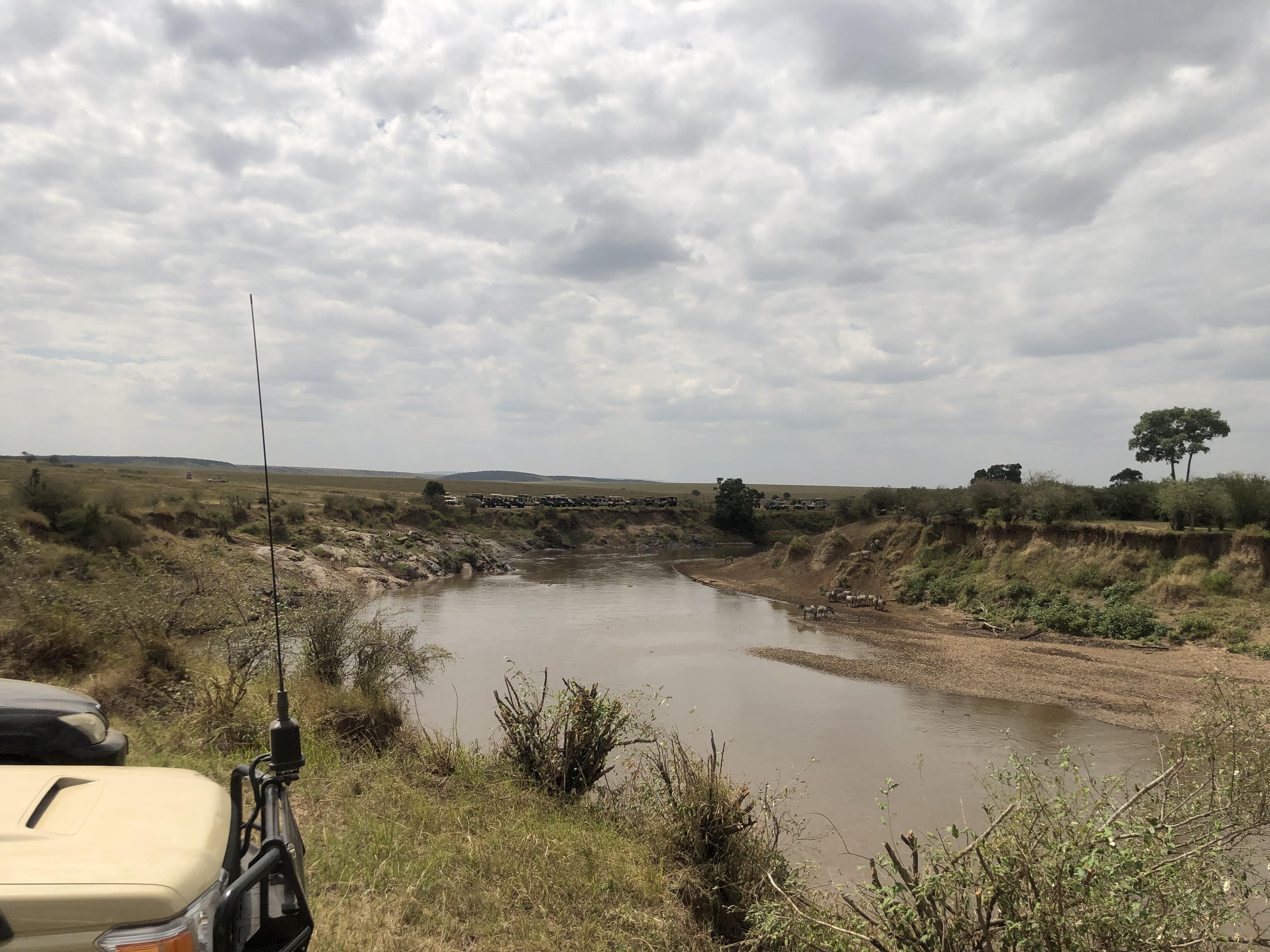 Maasai Mara Express: 1-Day Safari from Nairobi