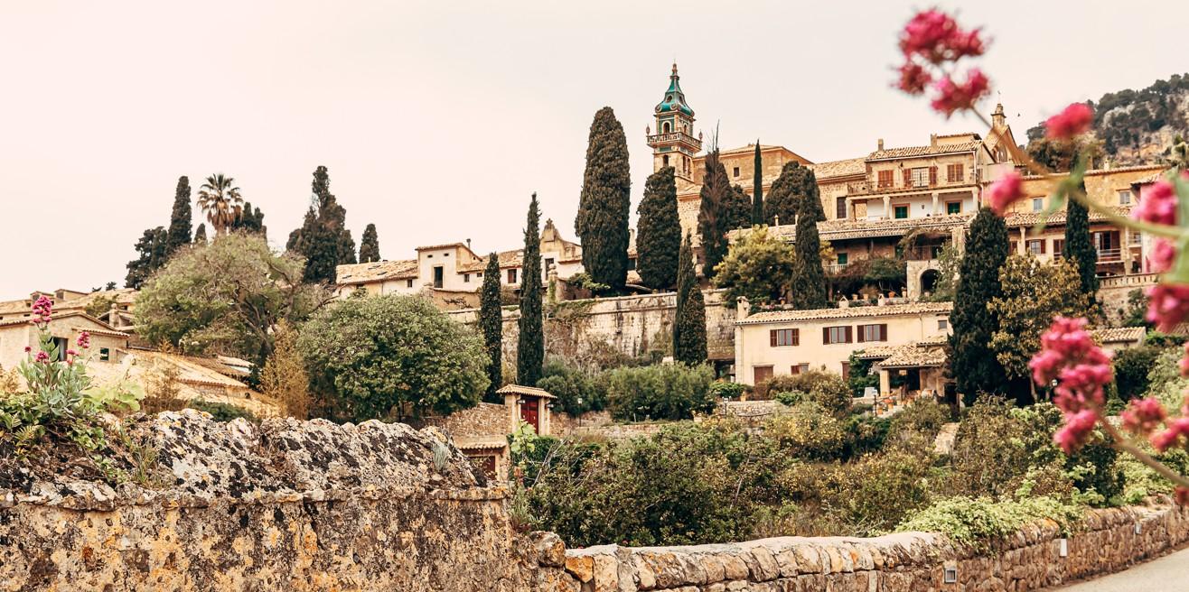 Puerto de Sóller & Valldemossa Half-Day Tour
