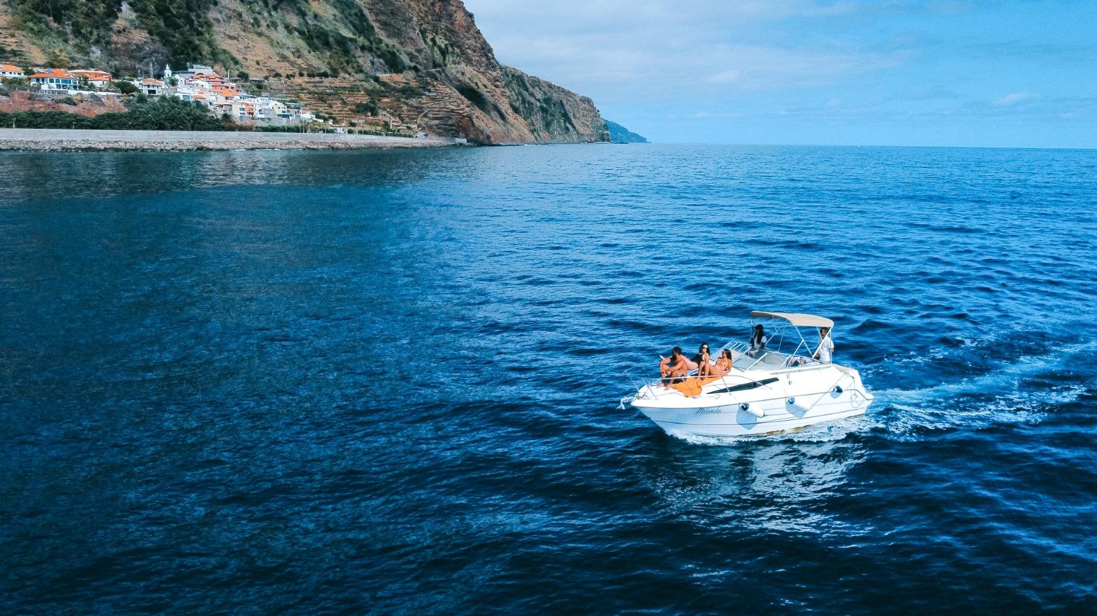 Private Whale & Dolphin Watching Yacht Cruise