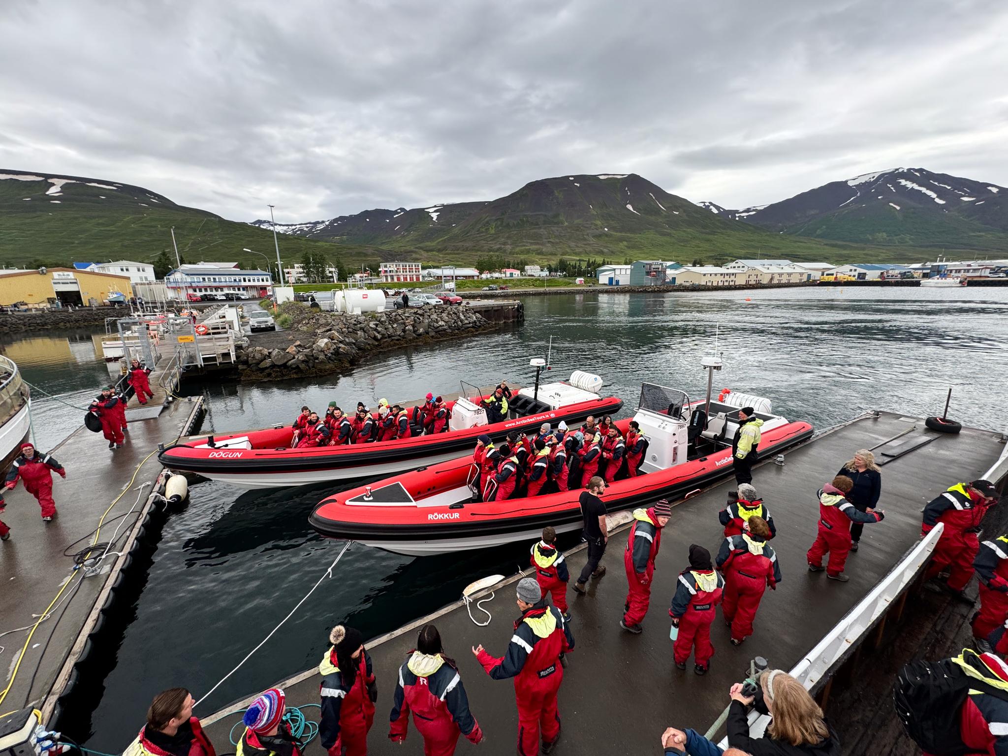 Dalvík Express RIB Speedboat Whale Watching Safari